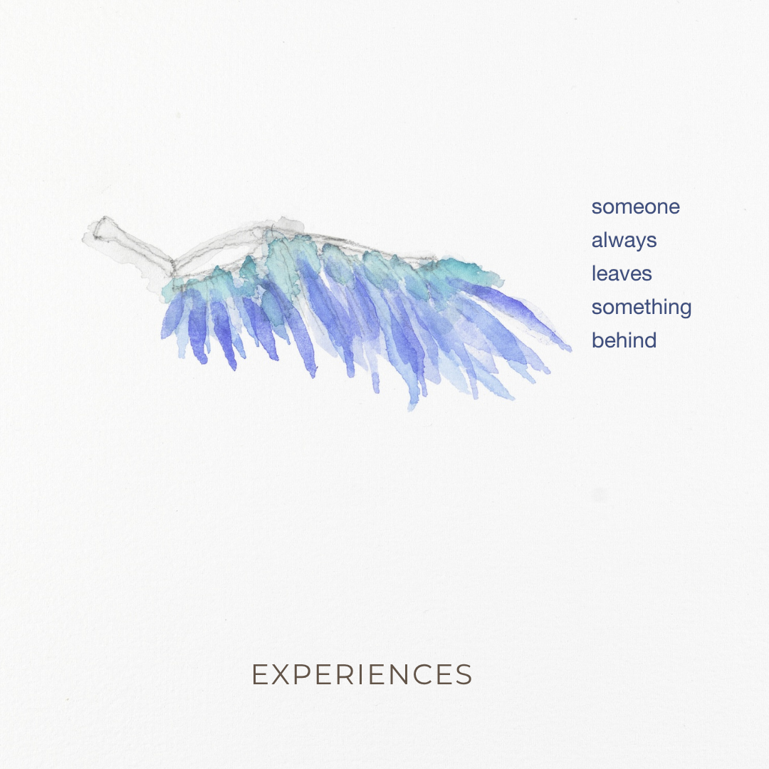 experiences