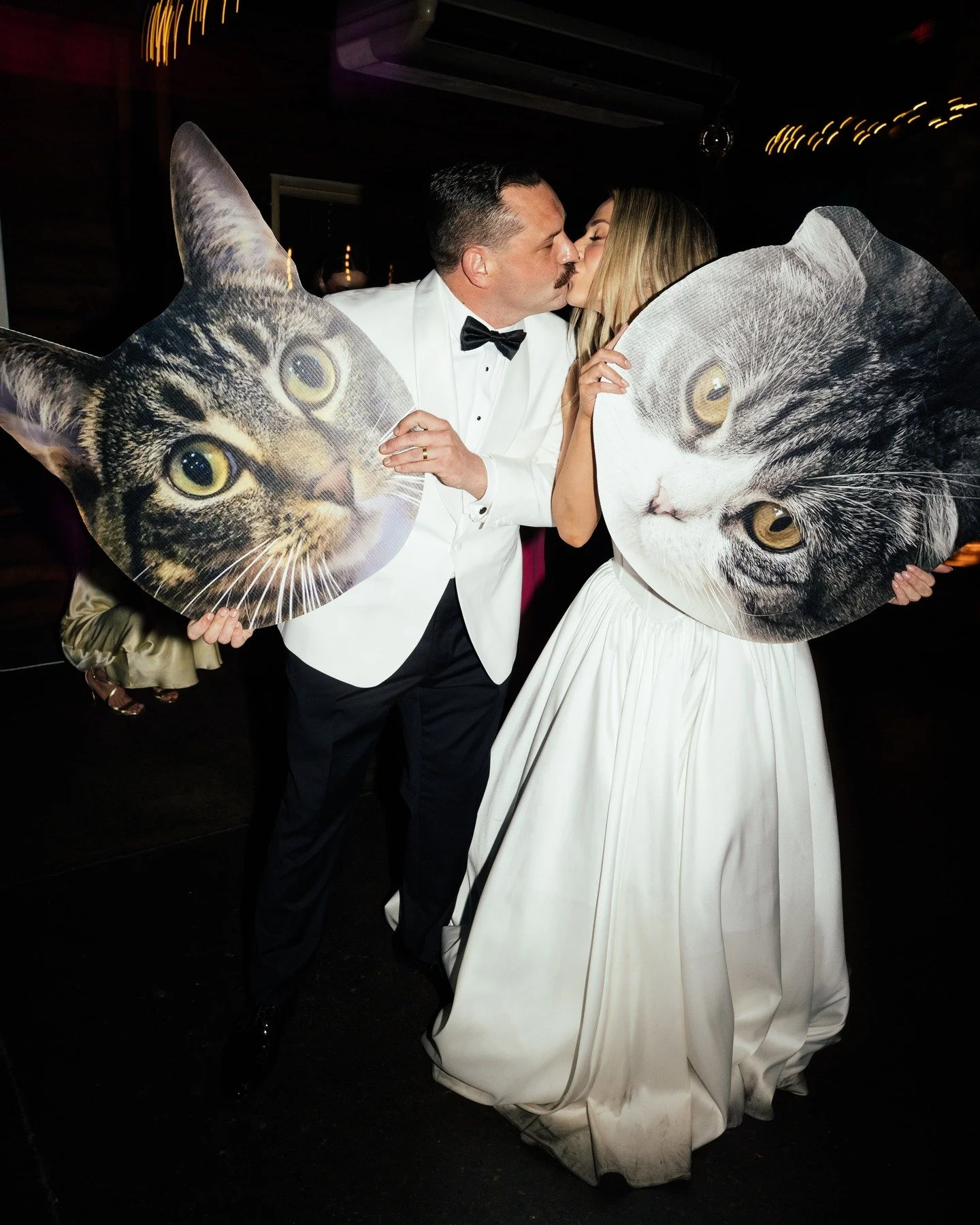 We love incorporating your furry friends in a fun way! 

Swipe to see the cute illustrations we did of Brooke &amp; Malcolm's beautiful kitties, which we featured throughout their stationery.

Wedding styling &amp; creative direction @wholelottalovec