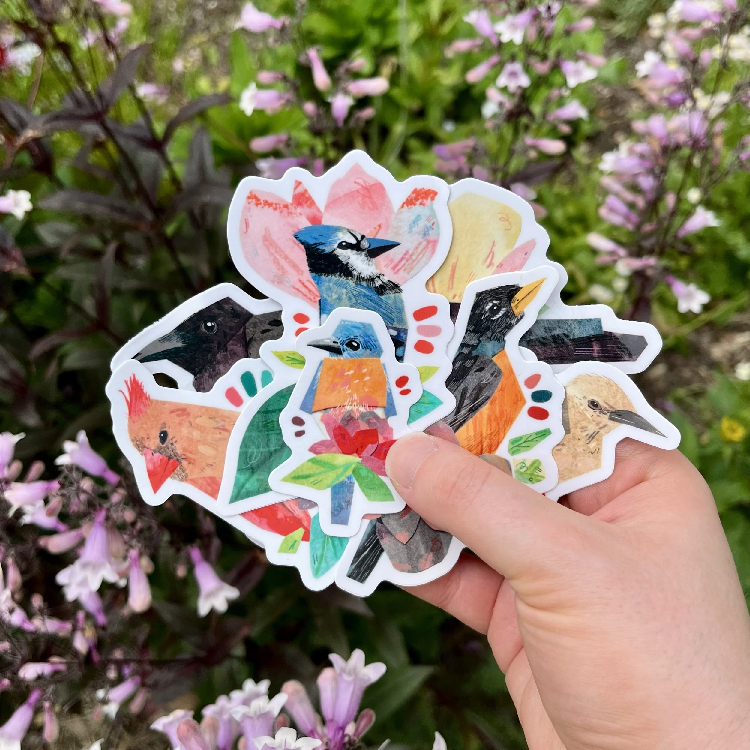 Bird Collage Sticker Set