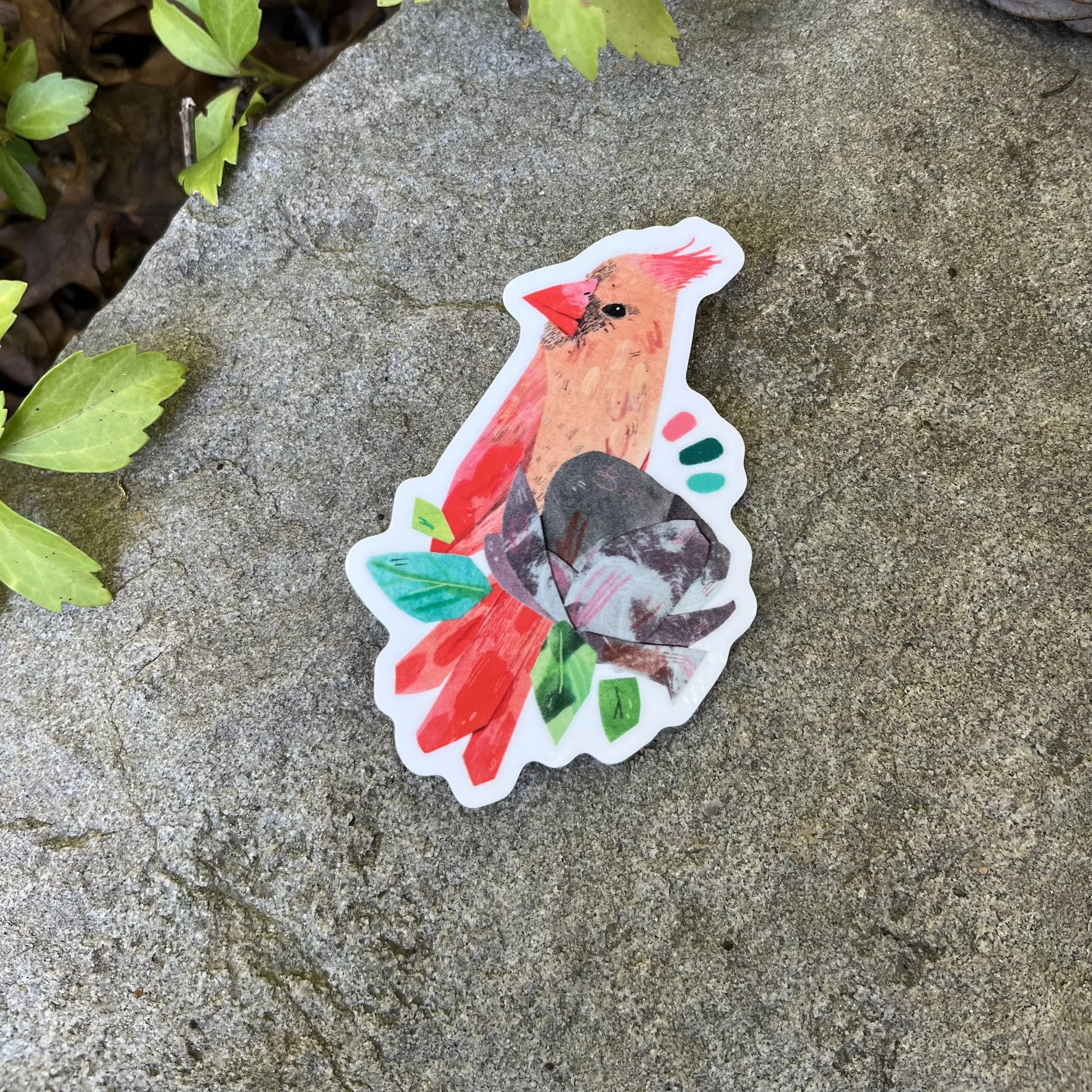 cardinal rock.jpg (Copy)