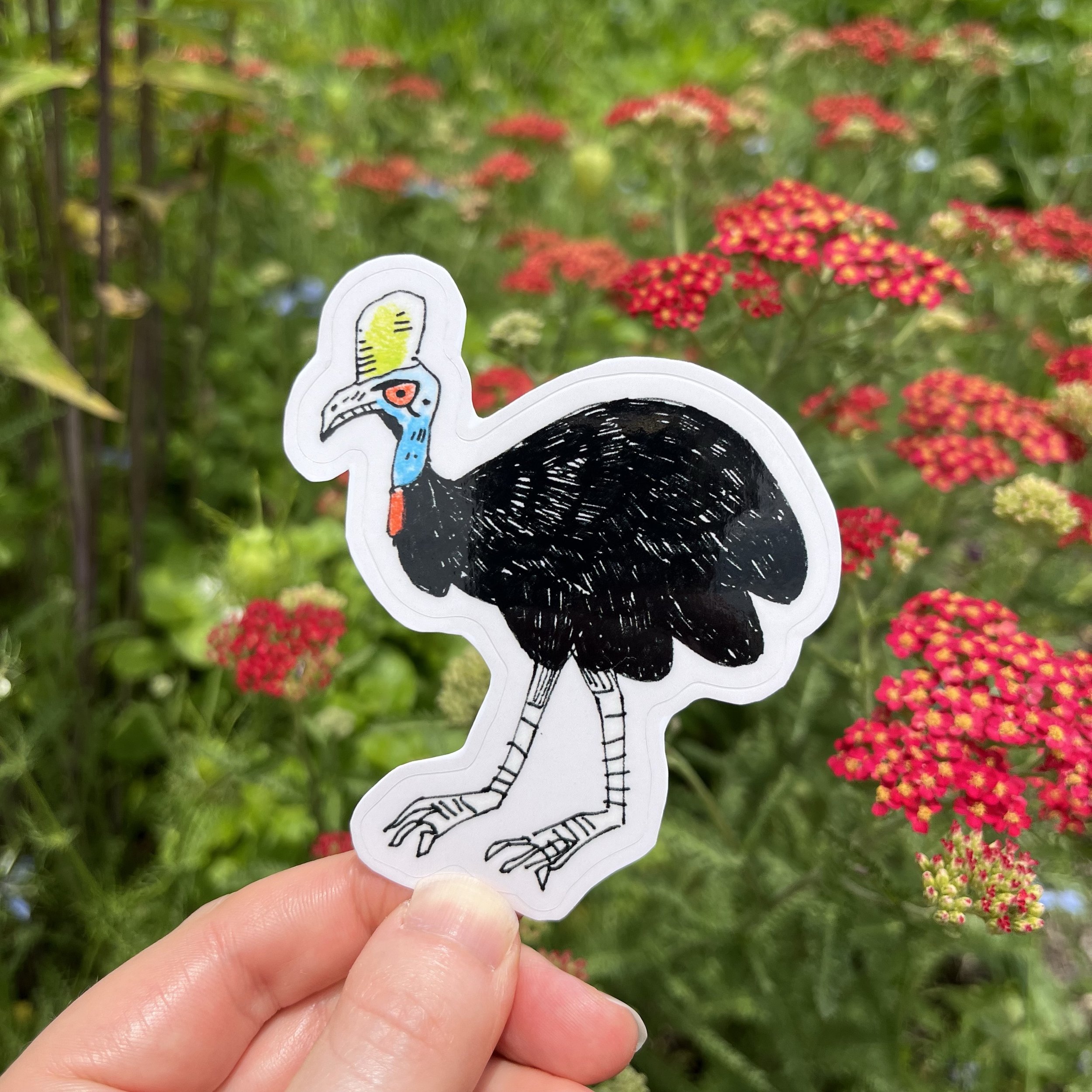 Cassowary Bird Sticker