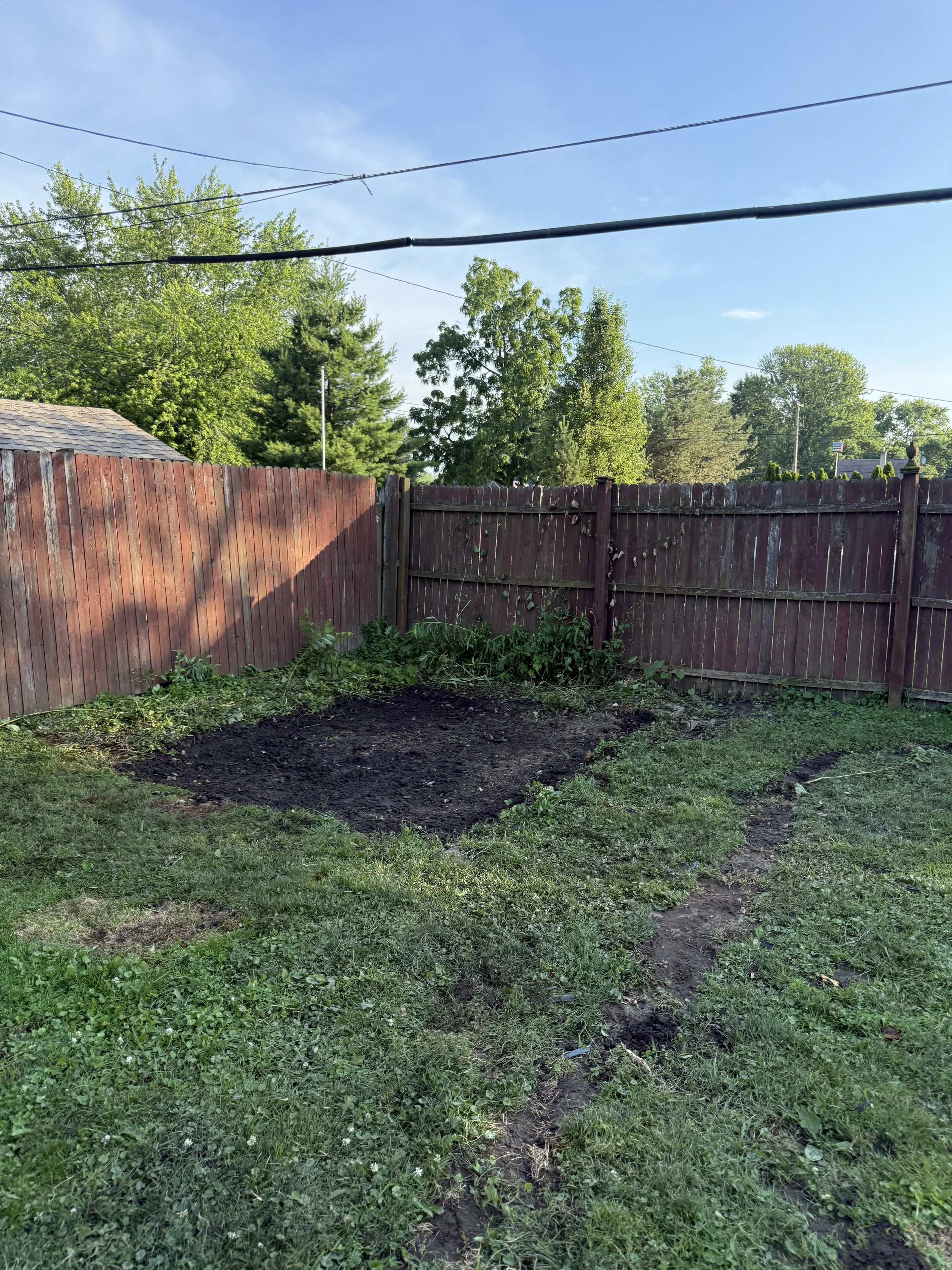 Backyard with a freshly tilled garden bed, green grass, a wooden fence, trees in the background, and power lines overhead on a clear day.