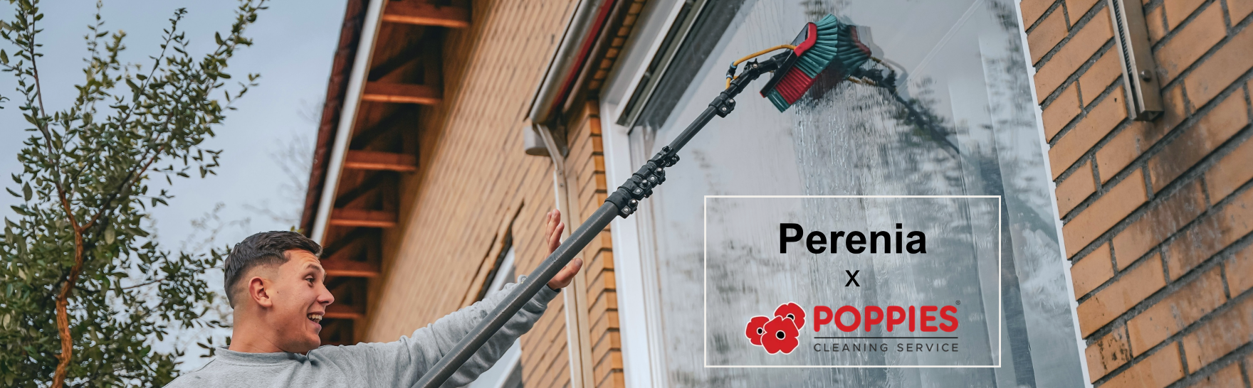 Perenia and Poppies Sheffield logos with residential cleaning service imagery