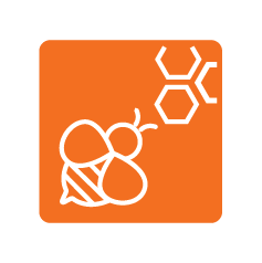 Icon of a bee and a molecular structure on an orange background.