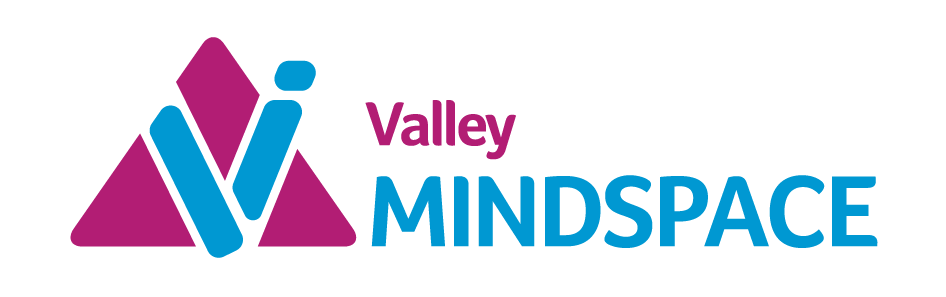 Valley Mindspace logo with purple triangle and blue abstract human figure