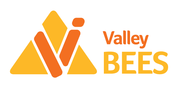 Logo of Valley Bees with a stylized honey bee and honeycomb design in yellow and orange, and the text "Valley BEES".