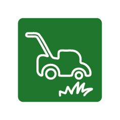 A green road sign indicating a golf cart crossing.