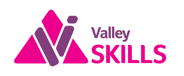 Logo for Valley Skills featuring a pink triangle and a stylized purple check mark, with the words 'Valley Skills' in purple and pink.