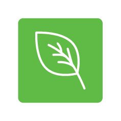 Green square icon with a white outline of a leaf.