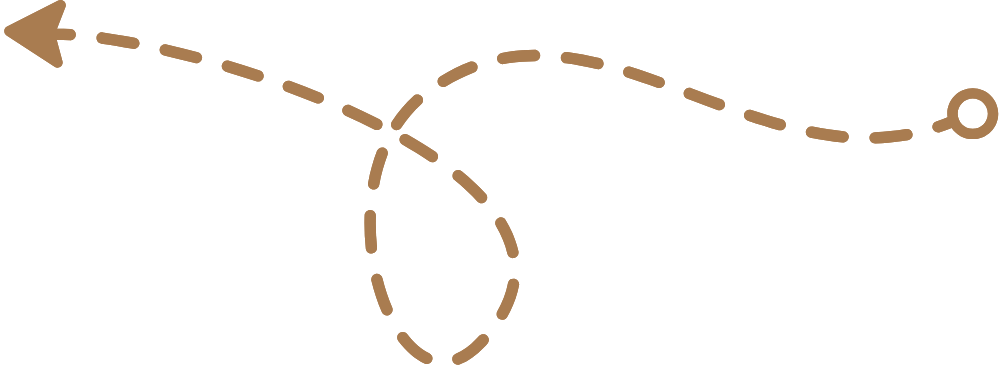 Illustration of a dashed brown path forming a loop with a beginning and end, set against a white background.