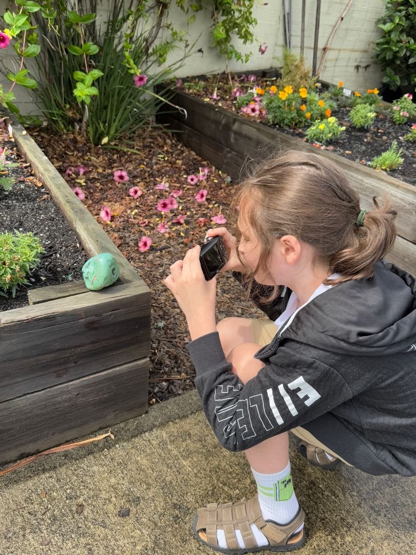 A girl taking a photo of a painted rock sitting on a wooden garden bed in a backyard garden with flowers and greenery.