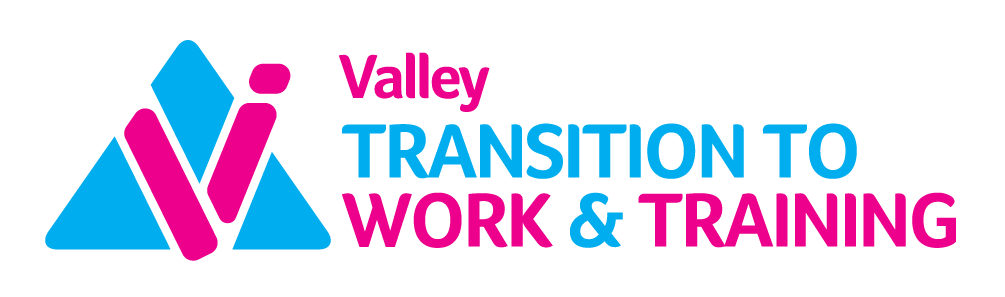 Logo with blue triangles and pink and blue text that reads 'Valley Transition to Work & Training'.