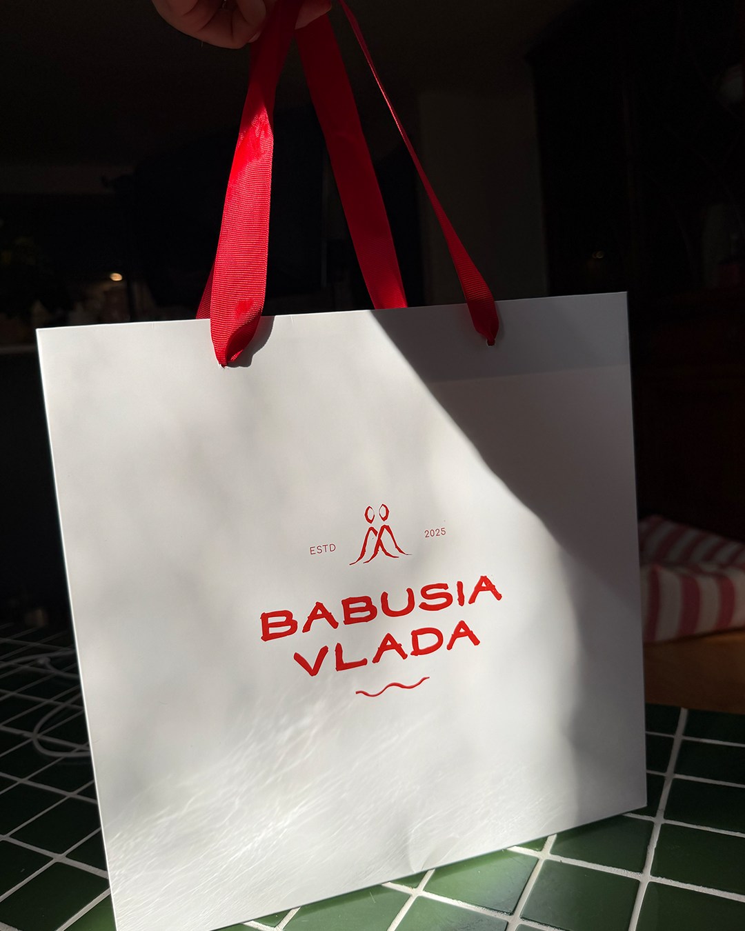 bag2.png