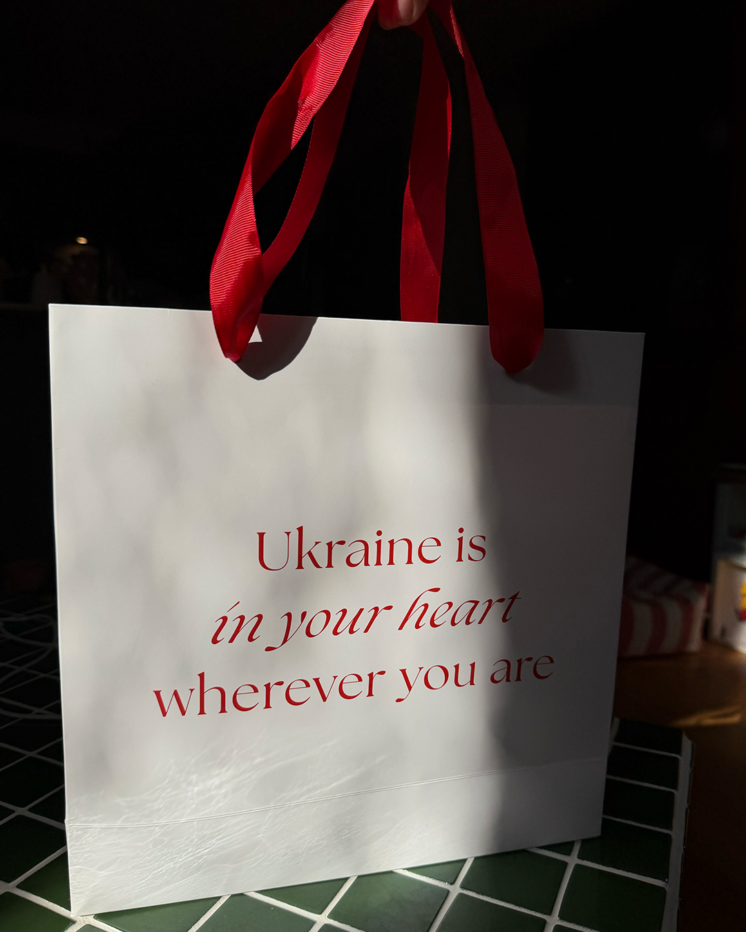 bag.png