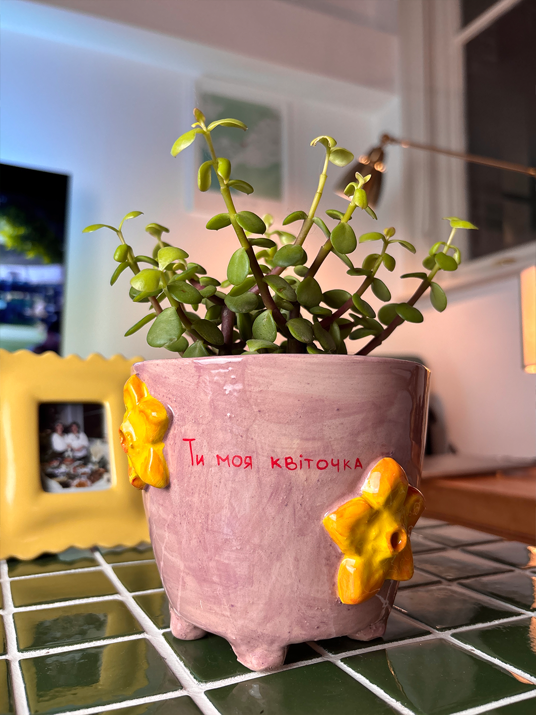 Plant Pot “Ти моя квіточка” (You Are My Flower)