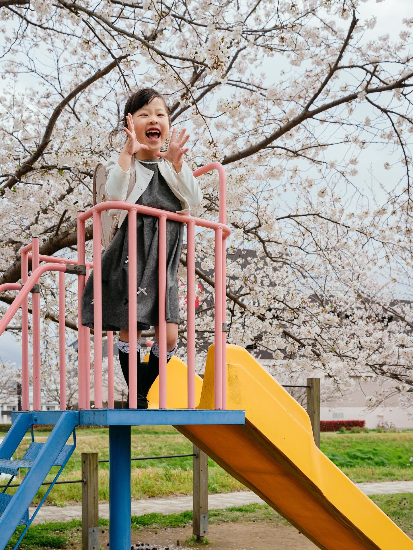 #宗像 #桜#入学#ランドセル