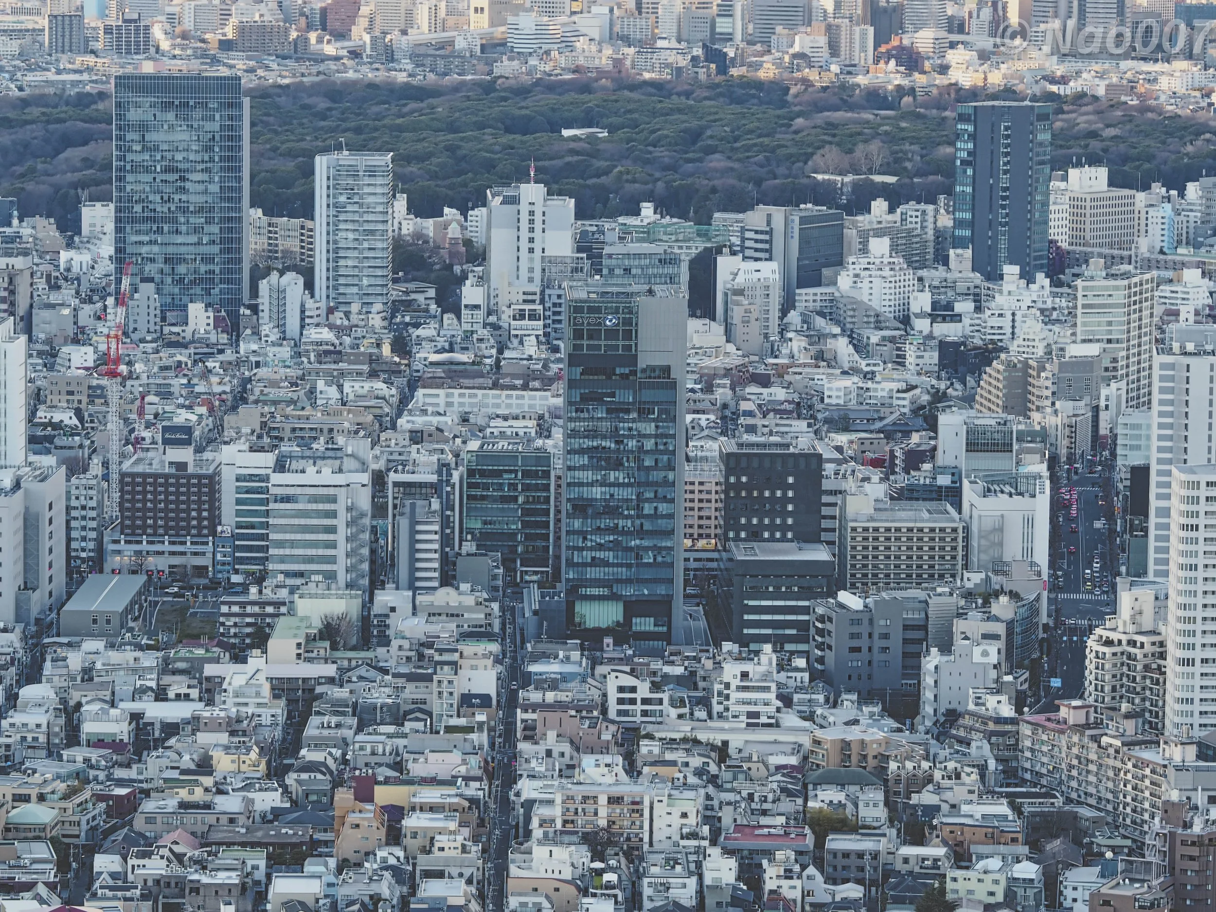 tokyo-snap-fukuoka-honda-01.jpg