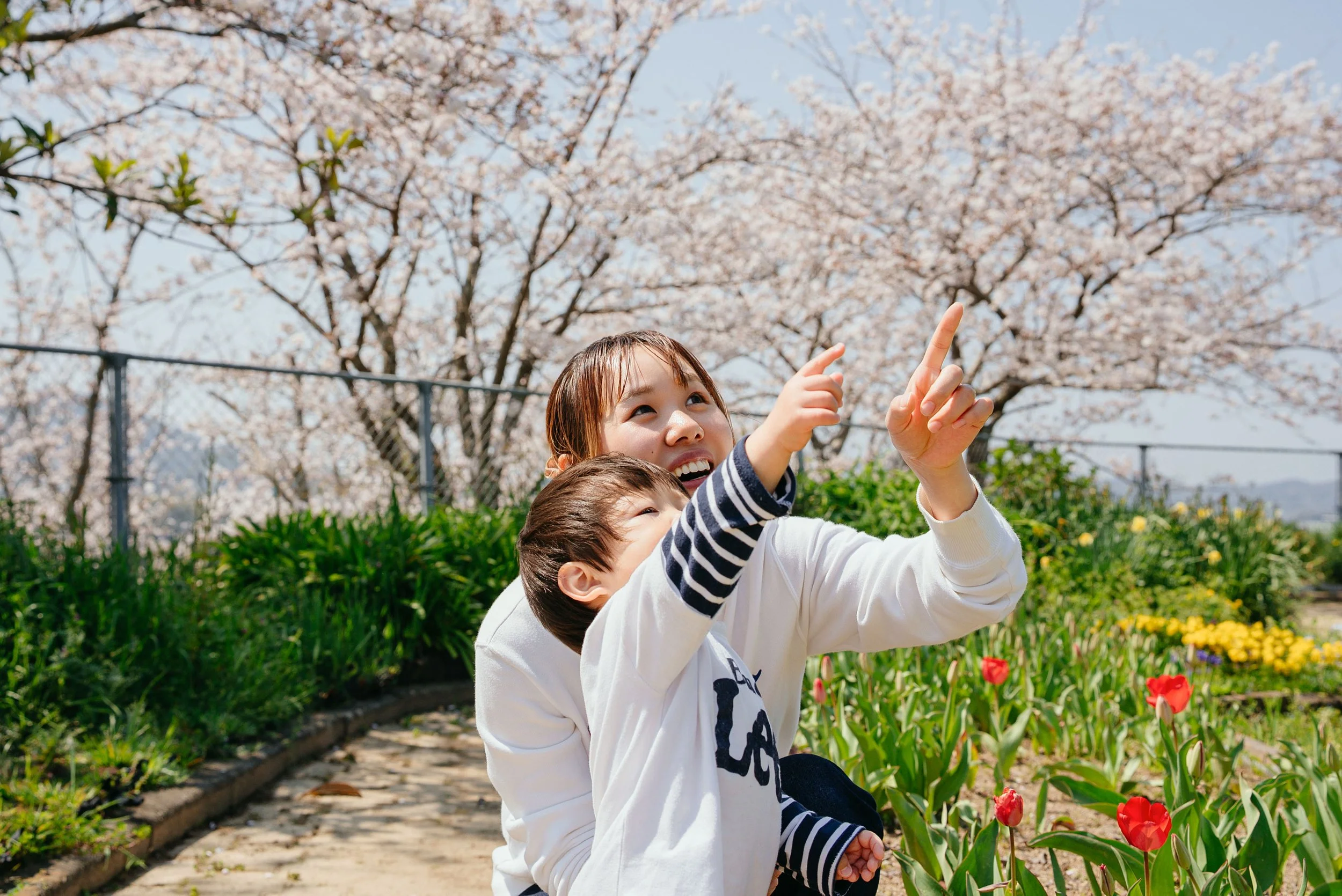 family-photo-sakura-fukutsu-honda-02.jpg