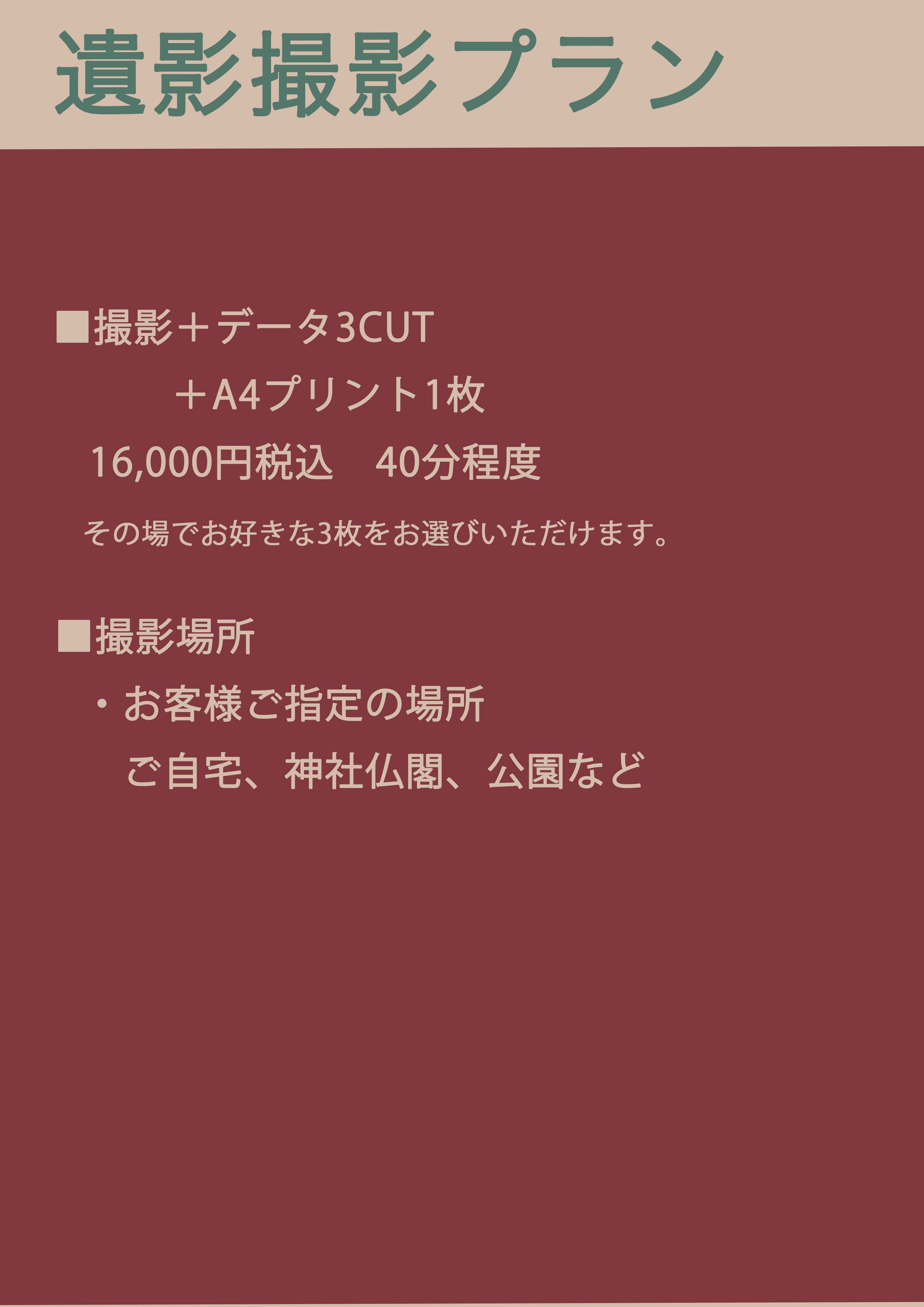 遠影撮影プランの案内板。撮影とデータ3カット、A4プリント1枚、価格は16,000円で所要時間は約40分。撮影場所は指定可能で、自宅や神社仏閣、公園など。
