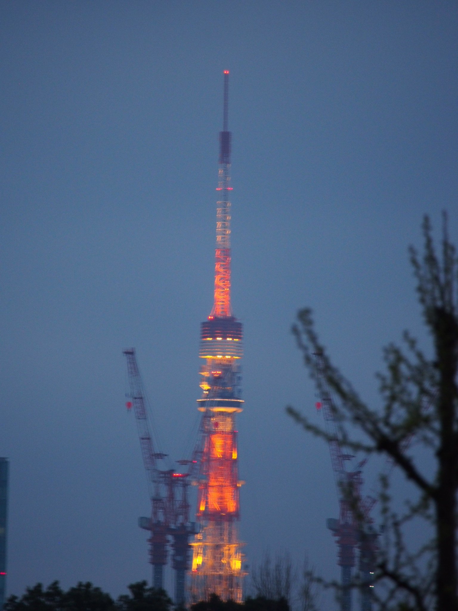 tokyo-snap-fukuoka-honda-101.jpg