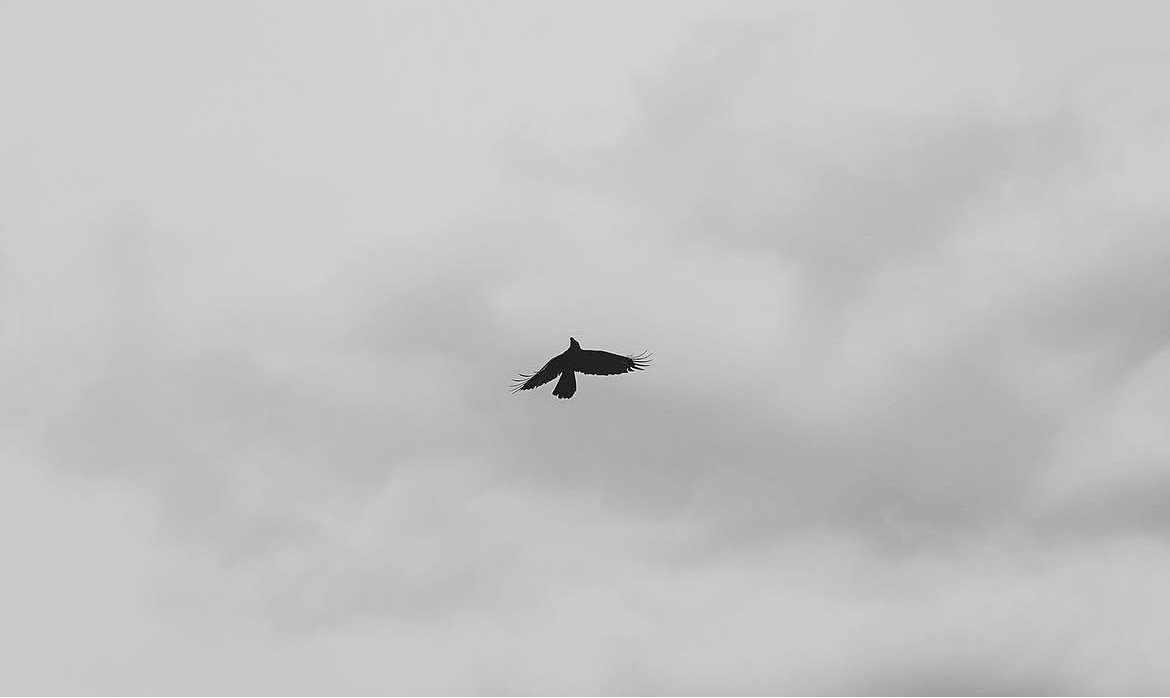 tokyo-snap-fukuoka-honda-37.jpg