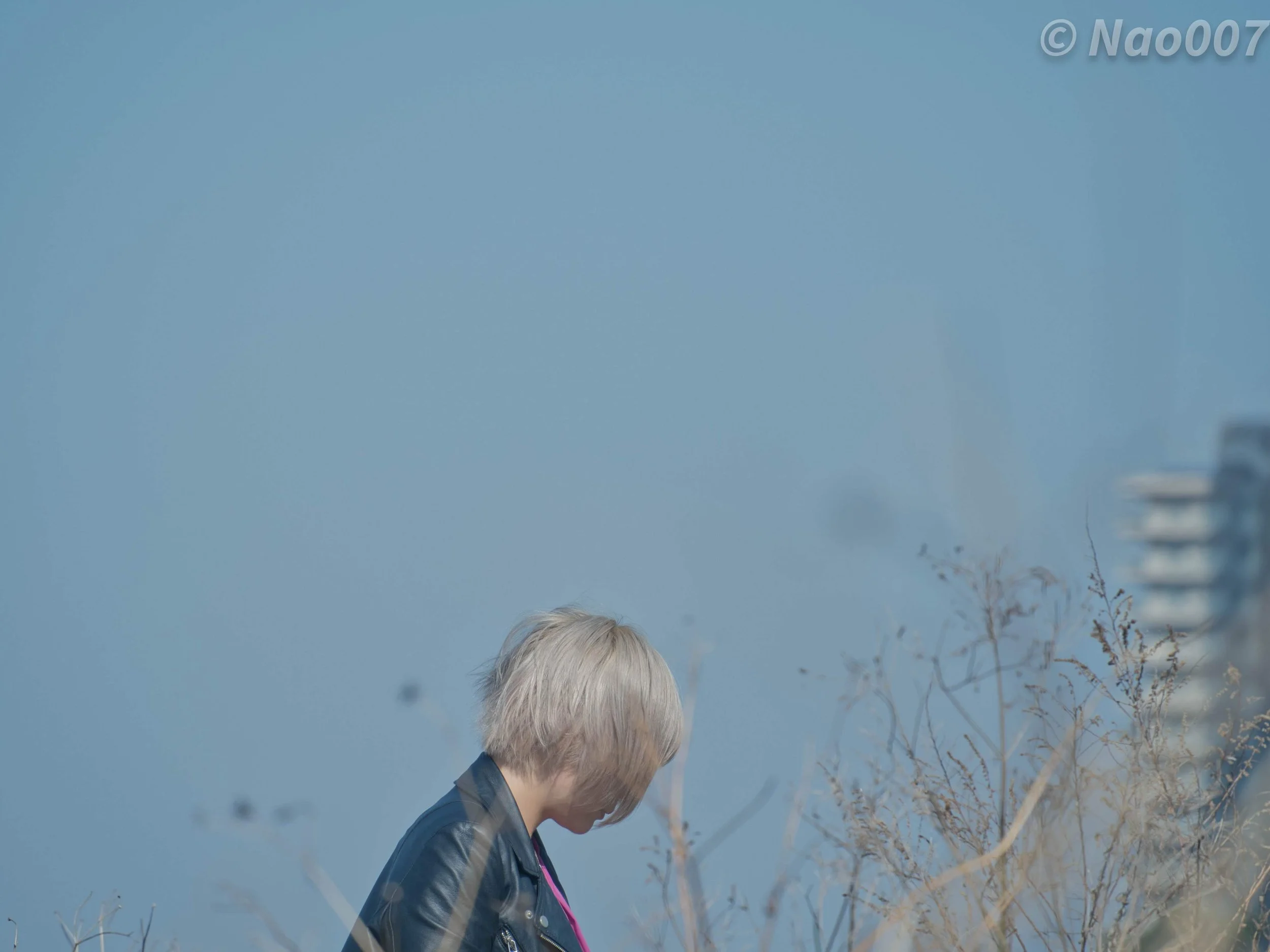 春1.jpg