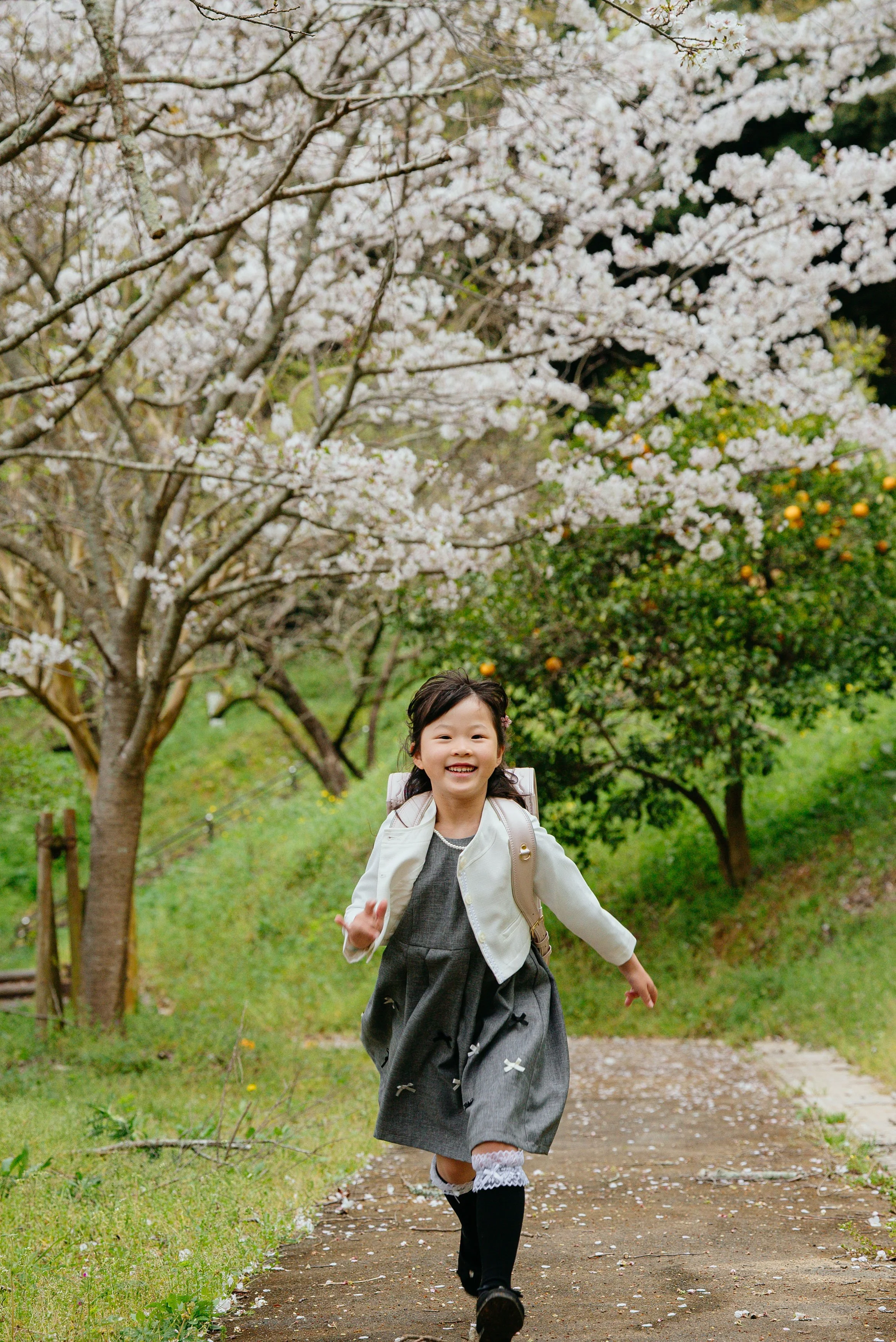 nyugaku-sakura-fukutsu-honda-01.jpg