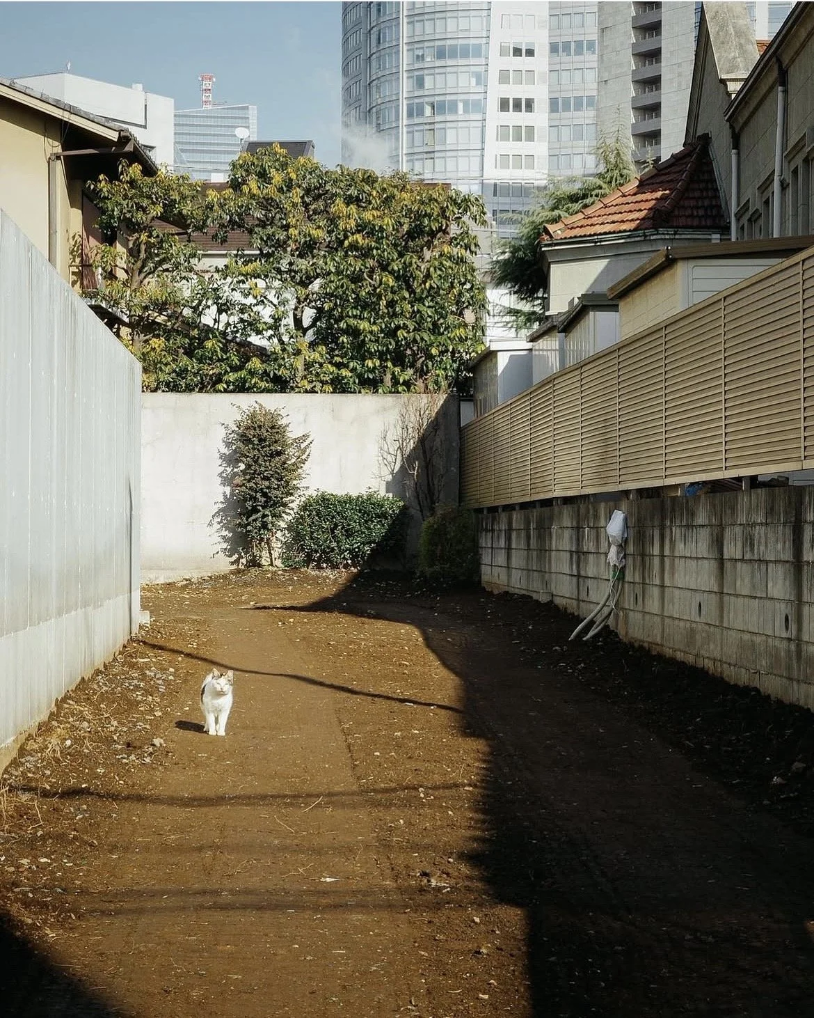tokyo-snap-fukuoka-honda-32.jpg