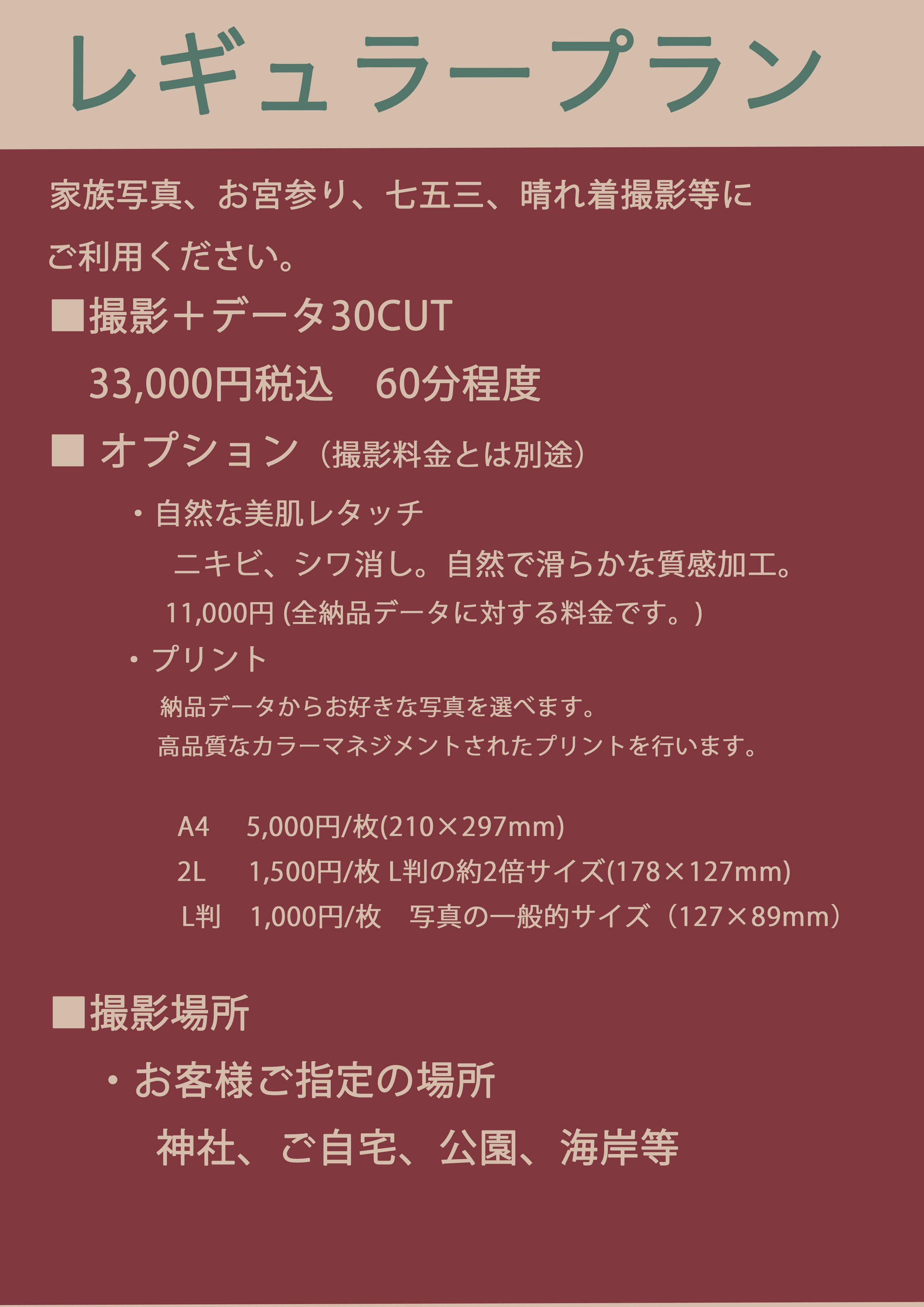 レギュラープランの写真と詳細情報、料金、オプション、撮影場所についての説明が書かれた看板またはポスターの画像です。