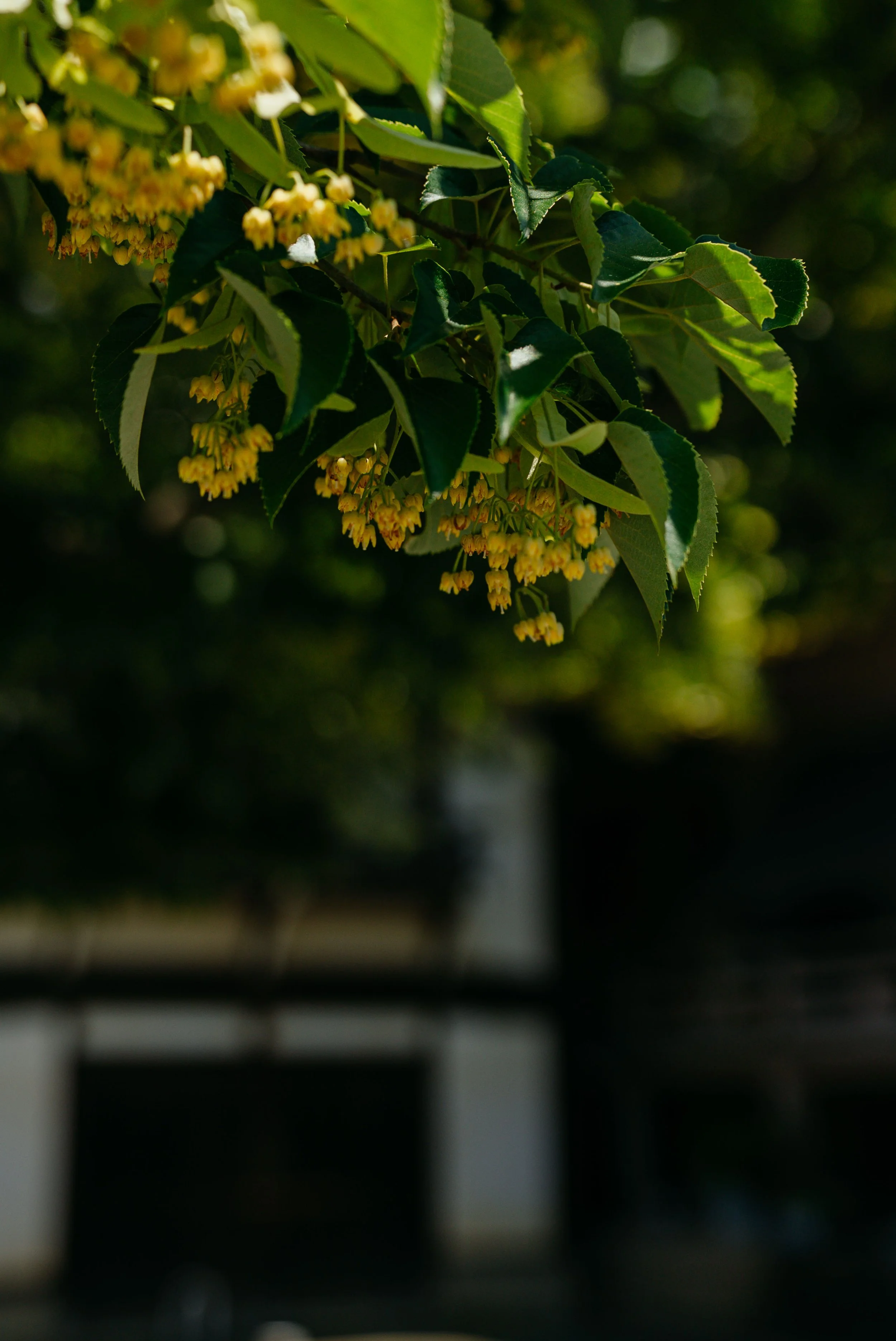 _7S30397.jpg