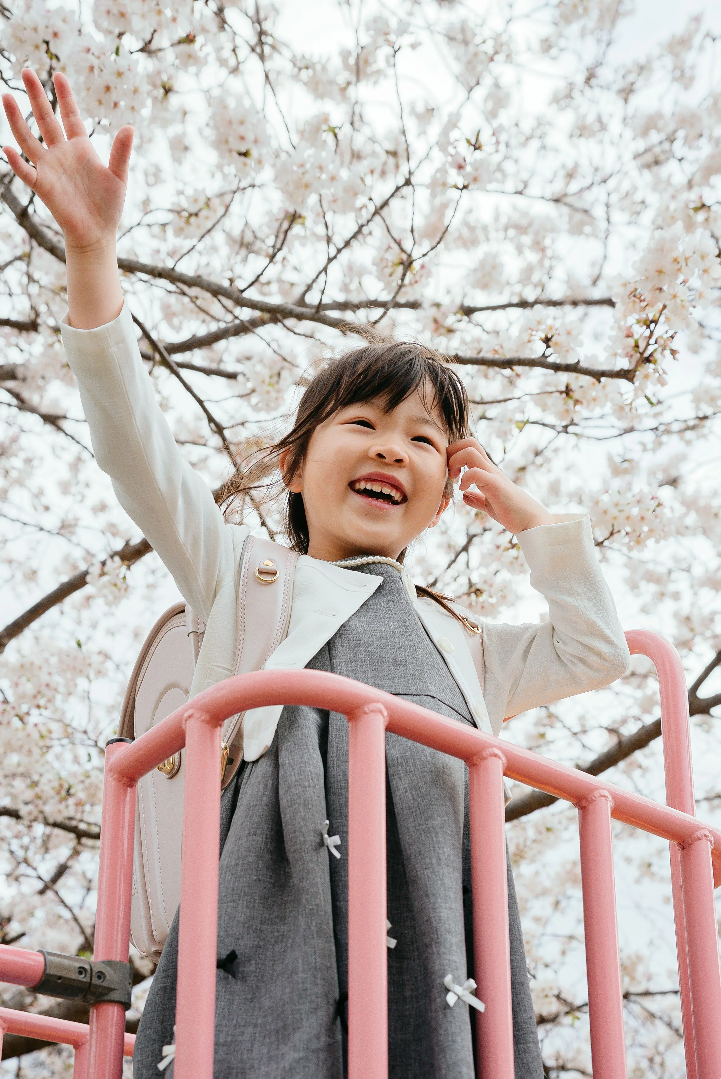 nyugaku-sakura-munakata-honda-04.jpg