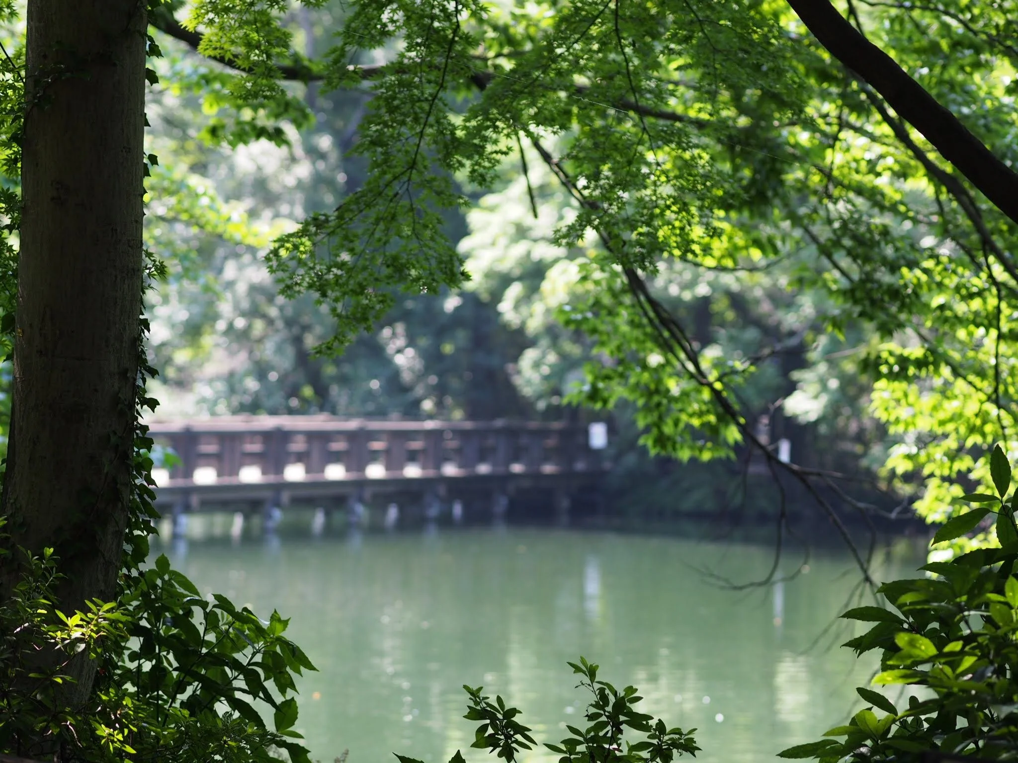 tokyo-snap-fukuoka-honda-108.jpg