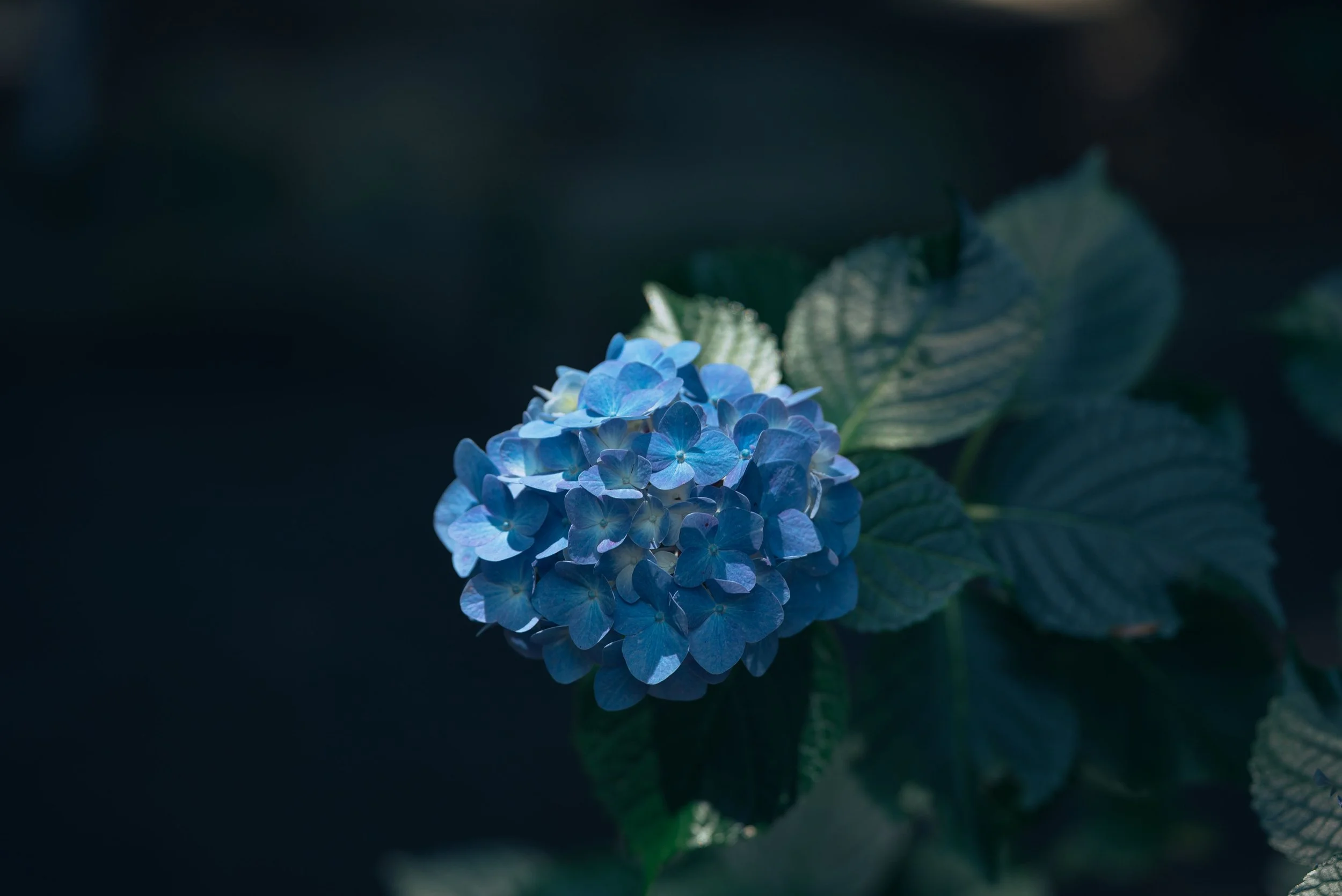 _7S30405.jpg
