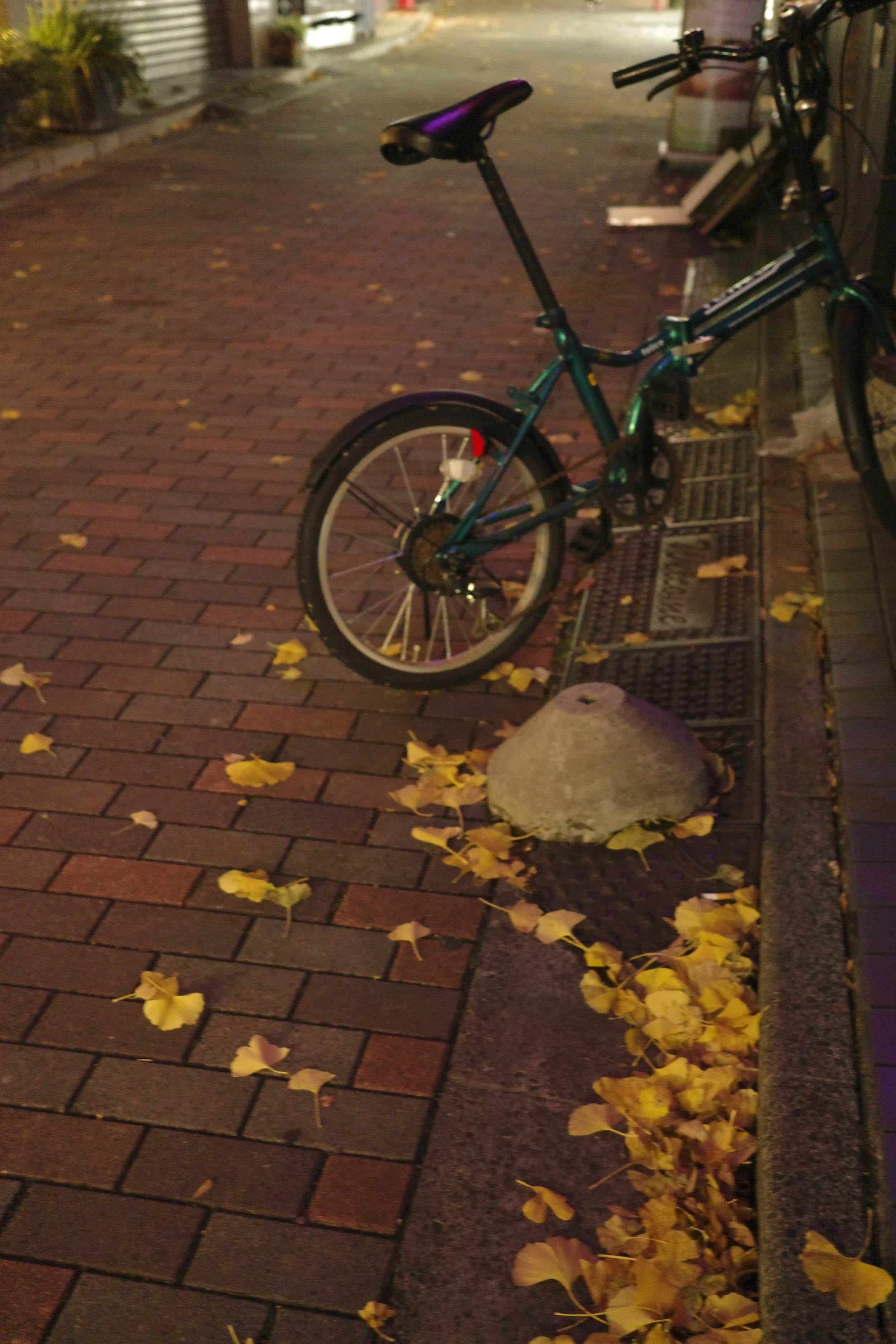 tokyo-snap-fukuoka-honda-130.jpg