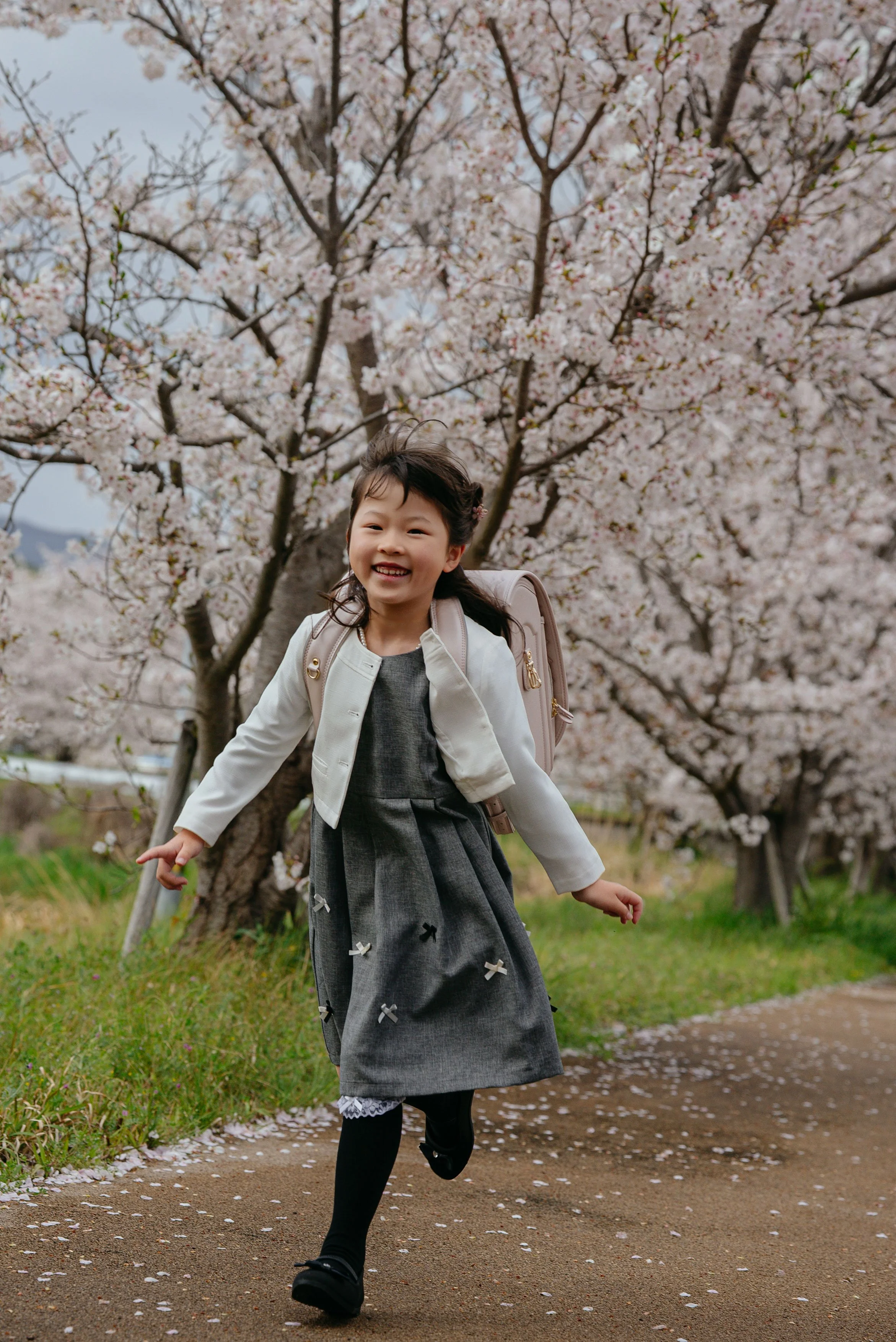 nyugaku-sakura-munakata-honda-01.jpg