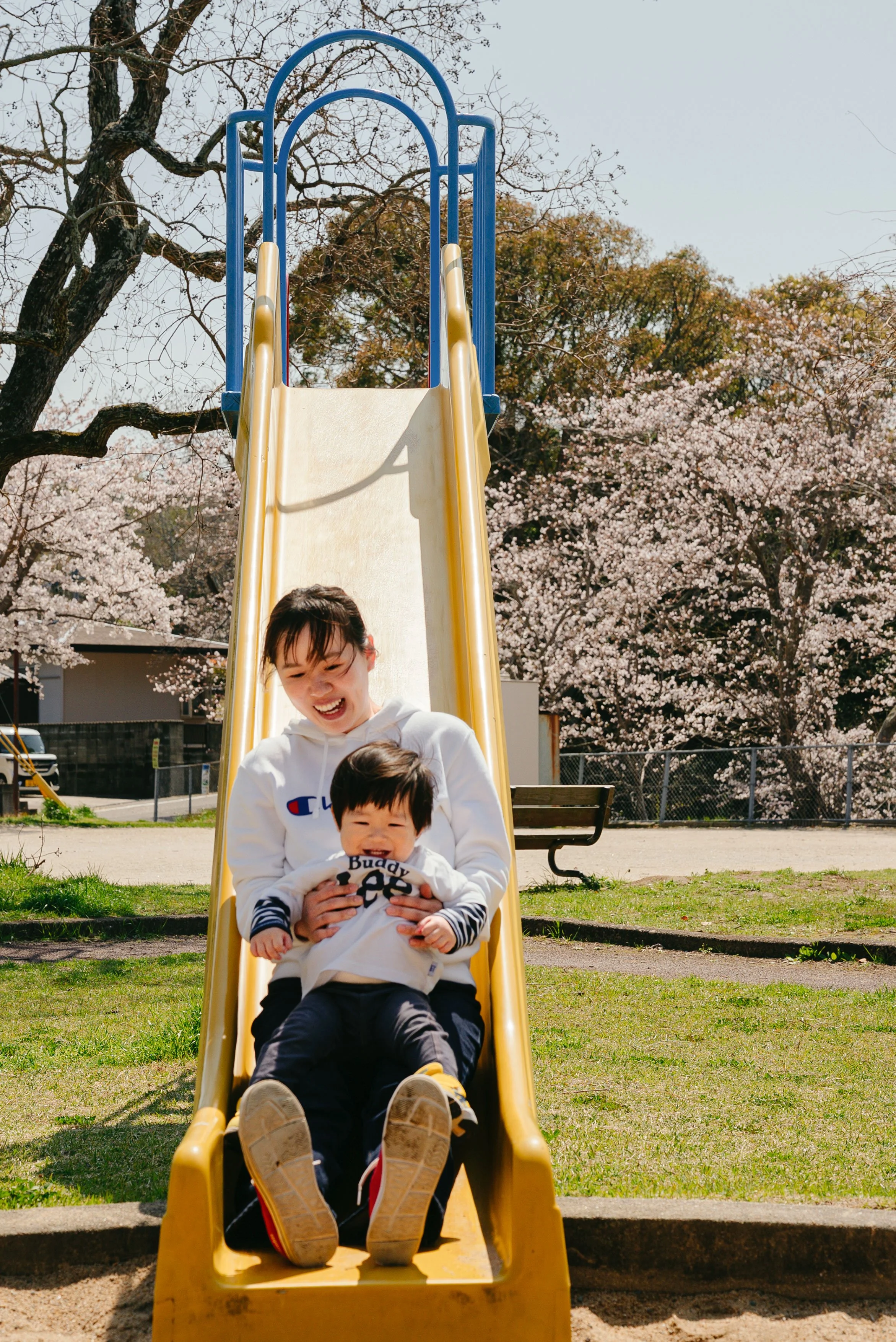 family-photo-sakura-munakata-honda-04.jpg