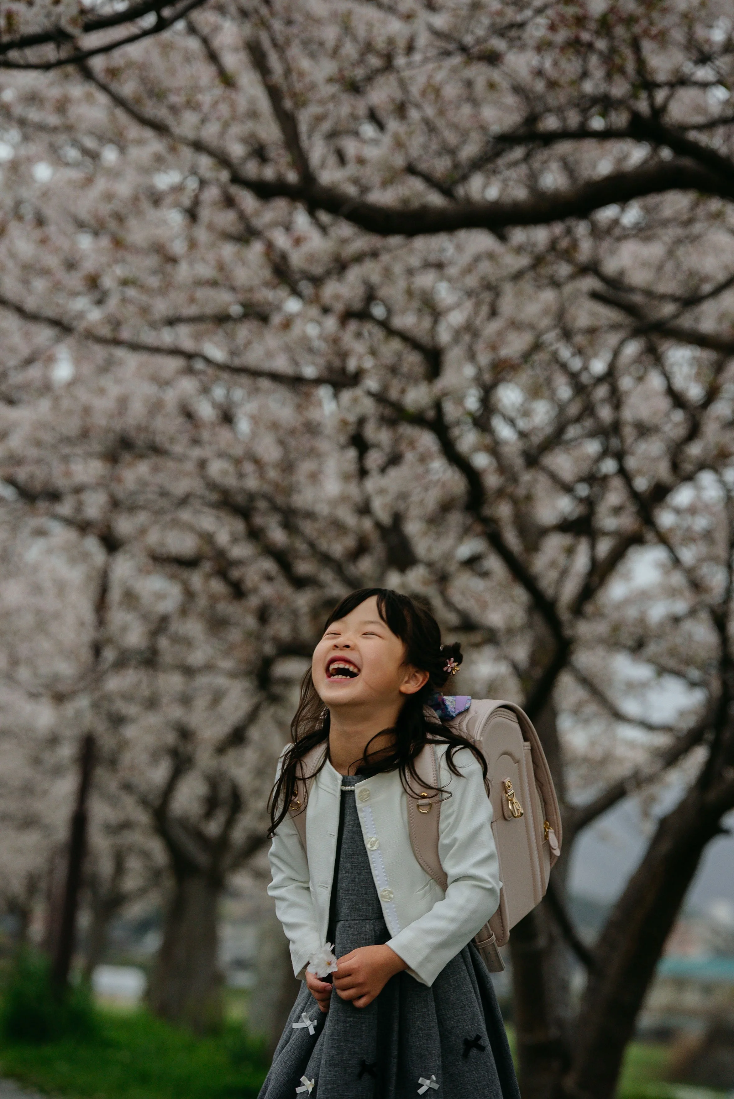 nyugaku-sakura-munakata-honda-07.jpg