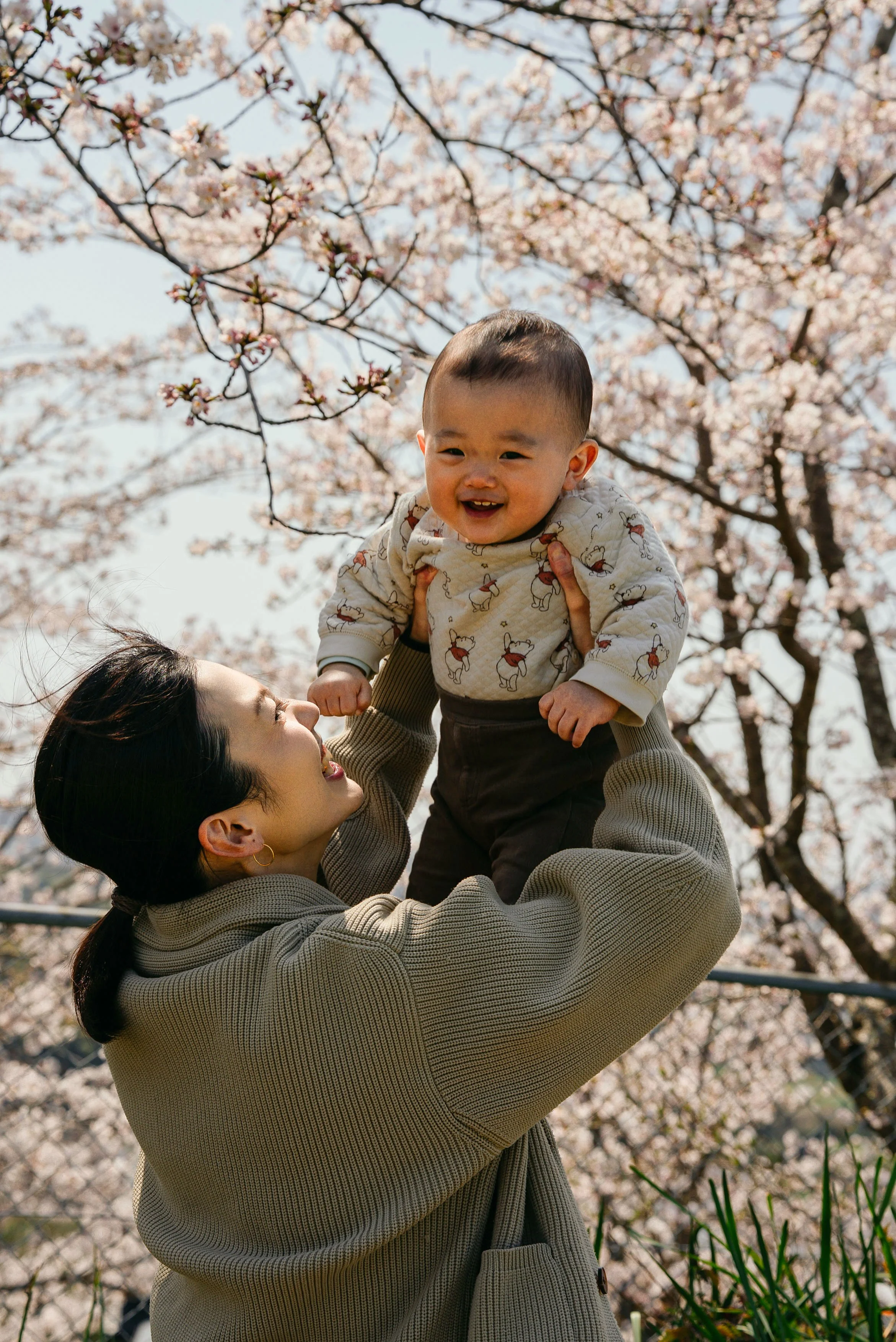 family-photo-sakura-fukutsu-honda-03.jpg