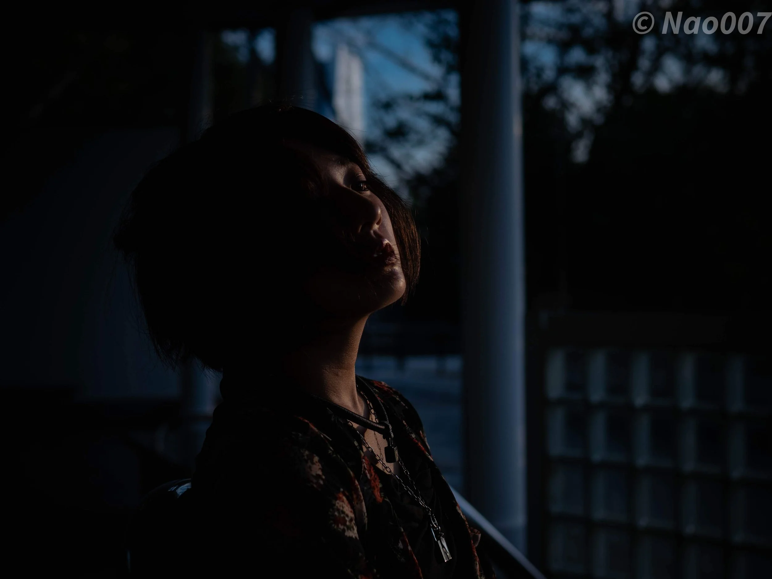 夕暮れ71.jpg