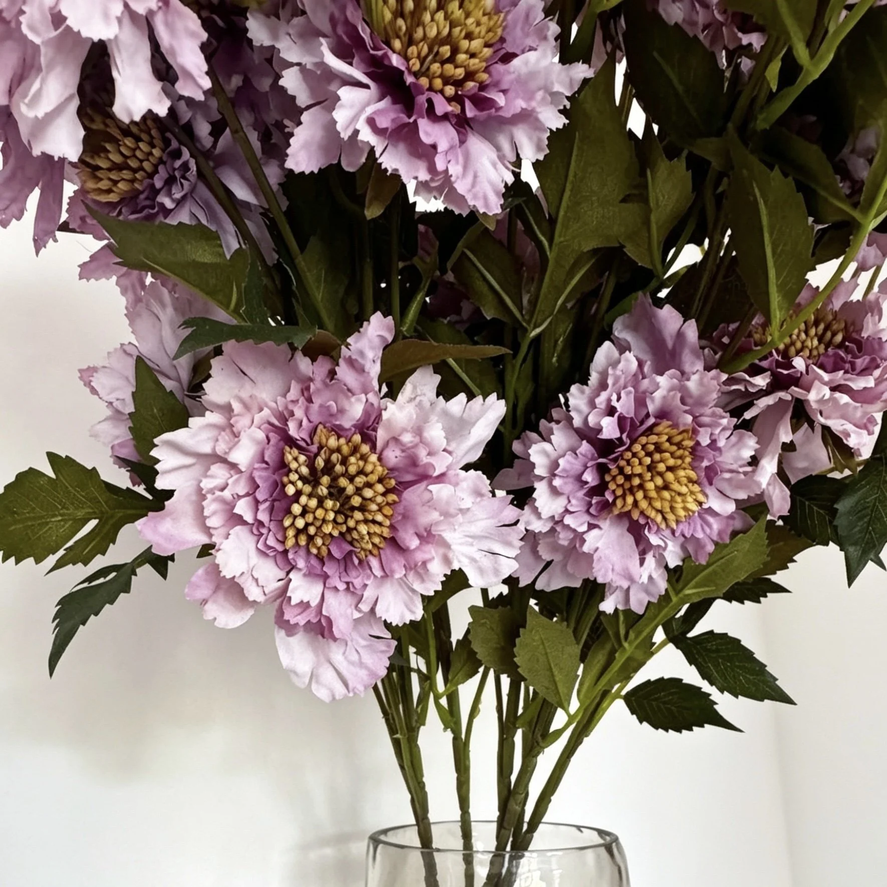 image00004.jpeg