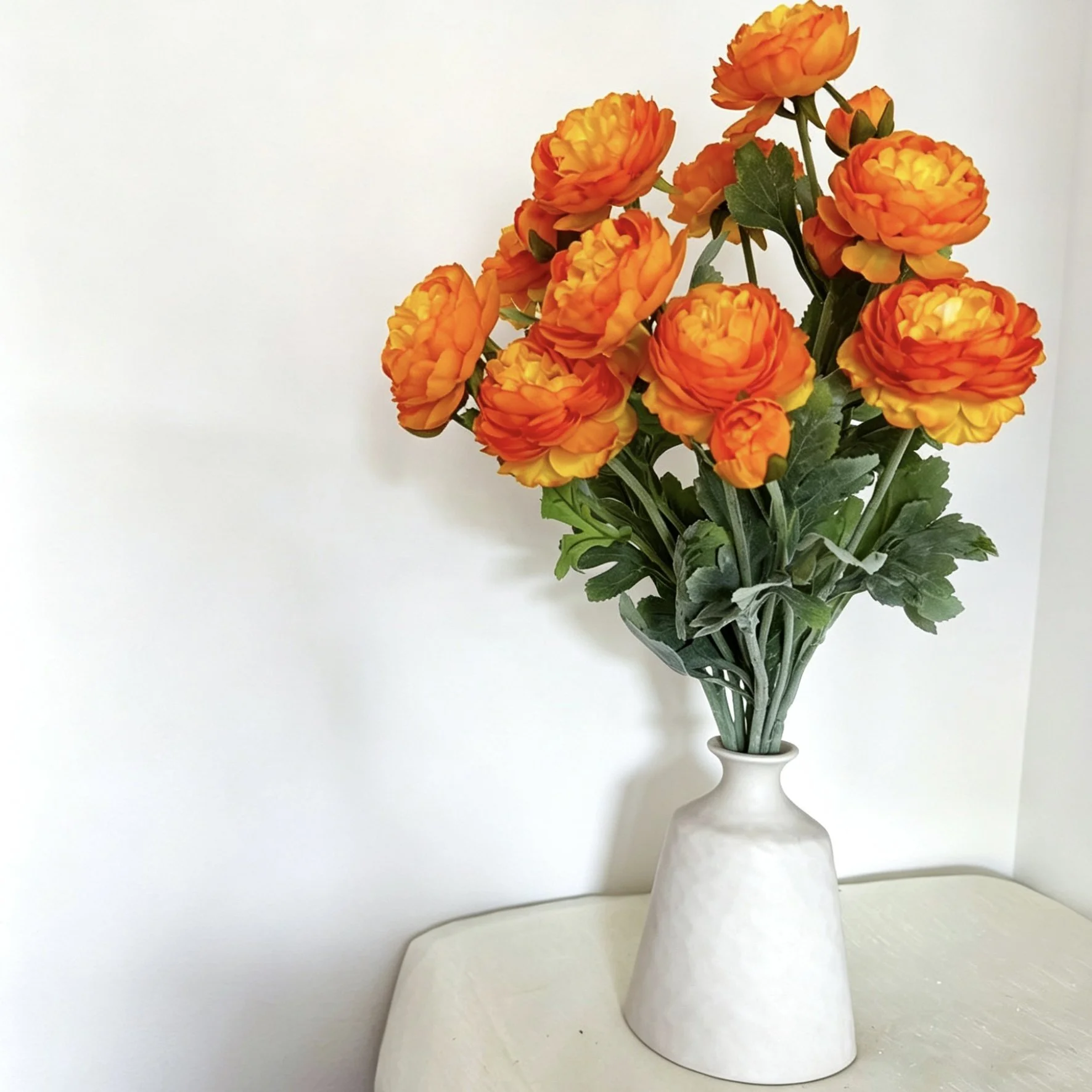 image00002.jpeg