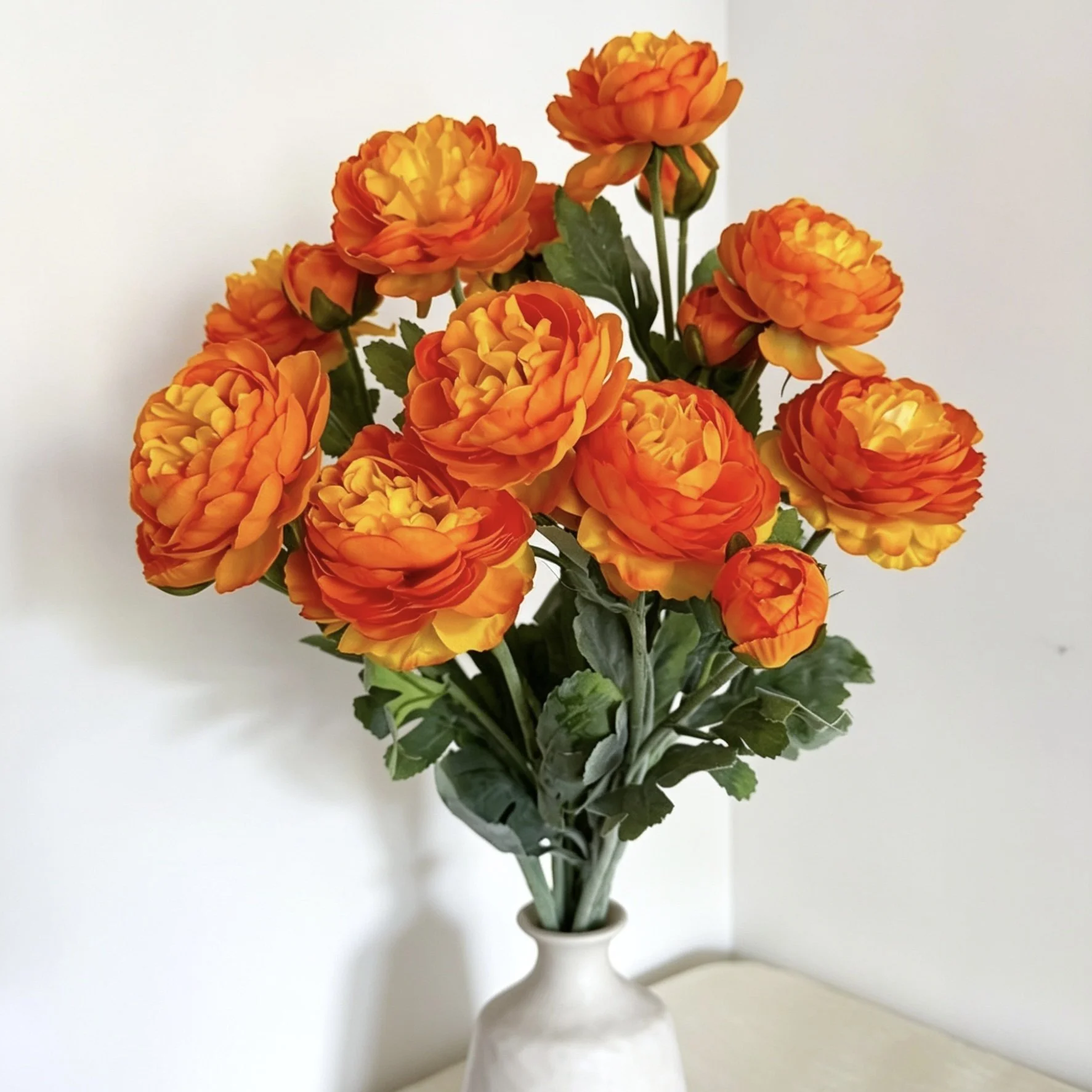 image00004.jpeg