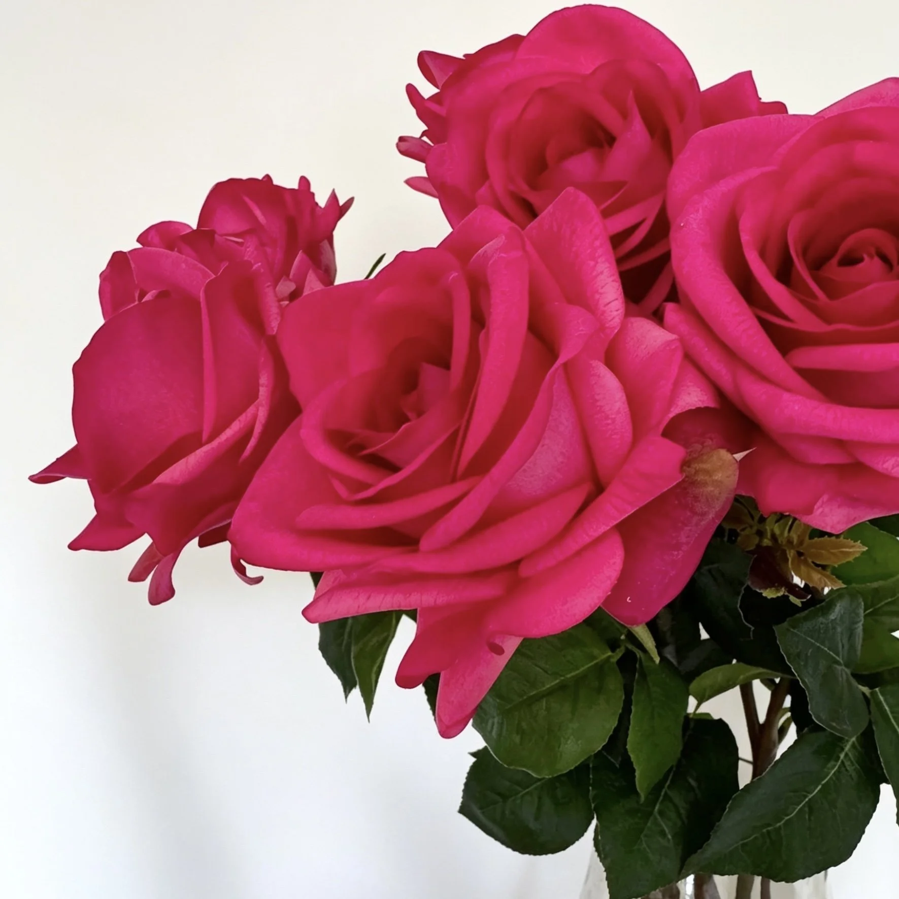 image00002.jpeg