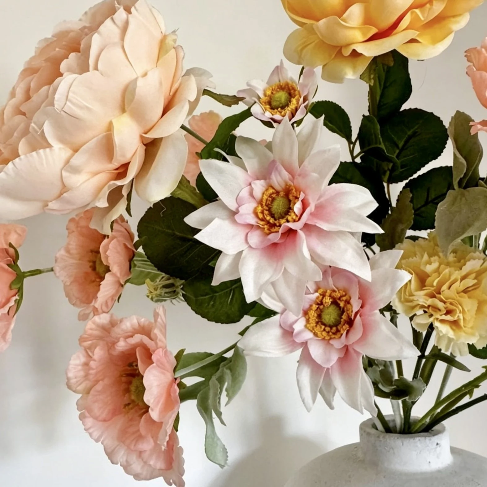 image00004.jpeg