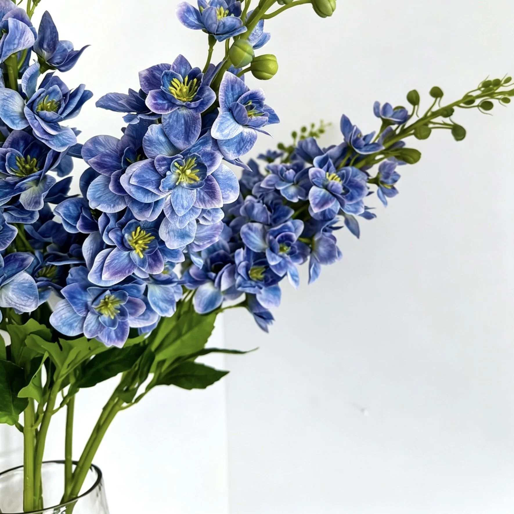 image00003.jpeg