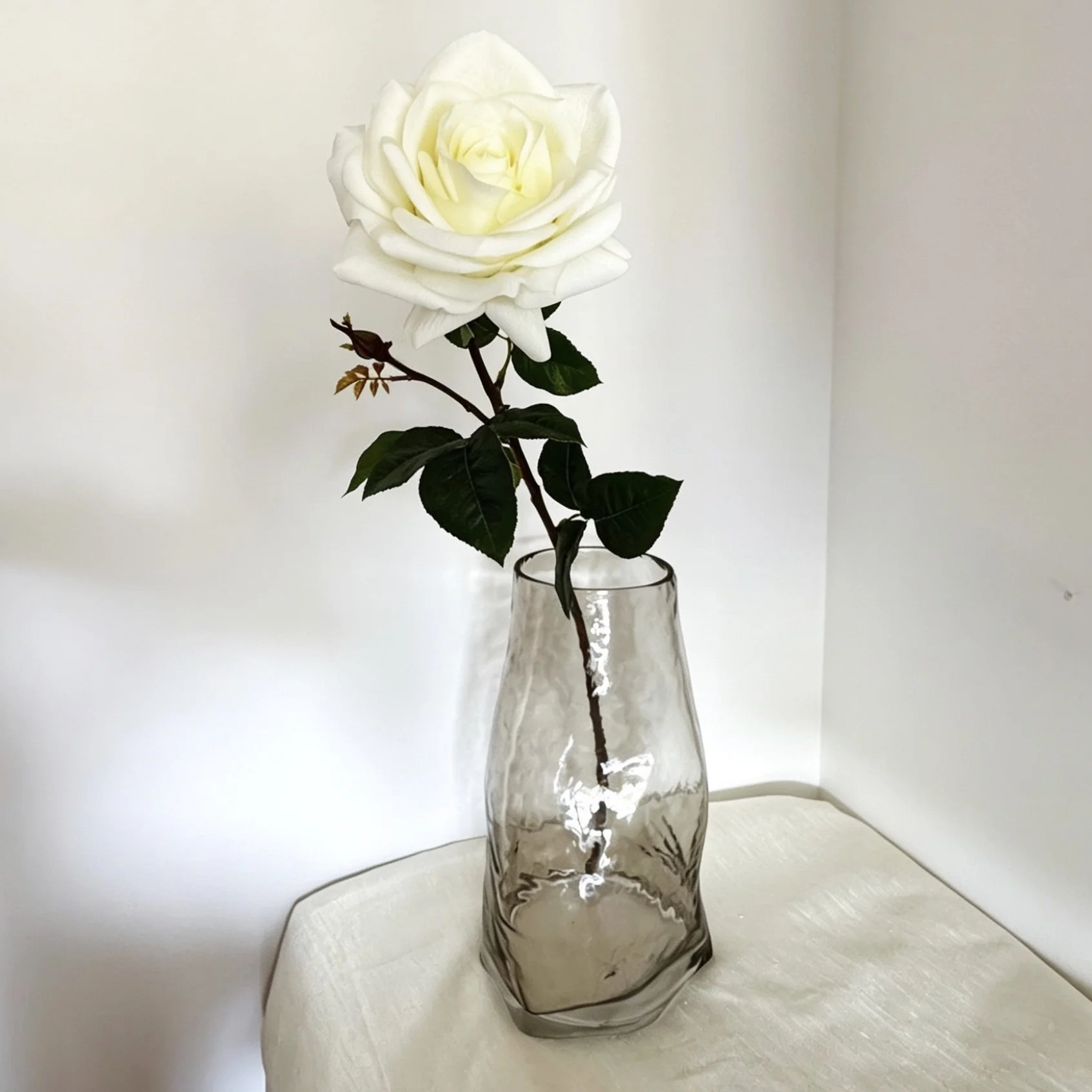 image00001.jpeg