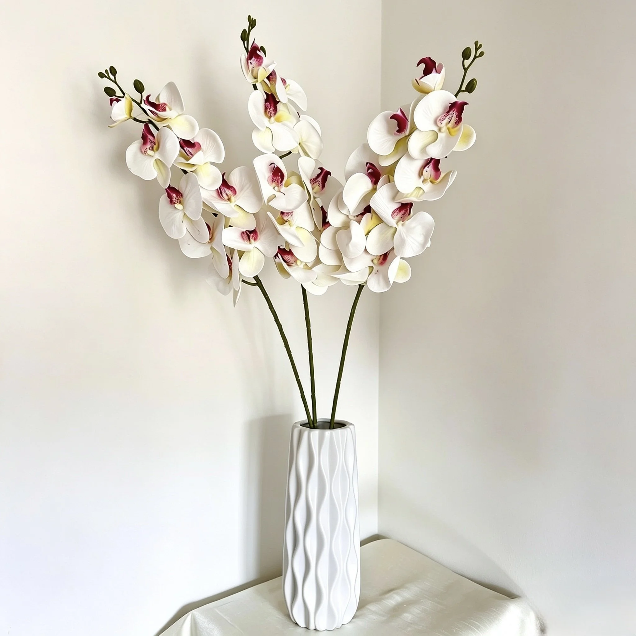 Orchid Stem