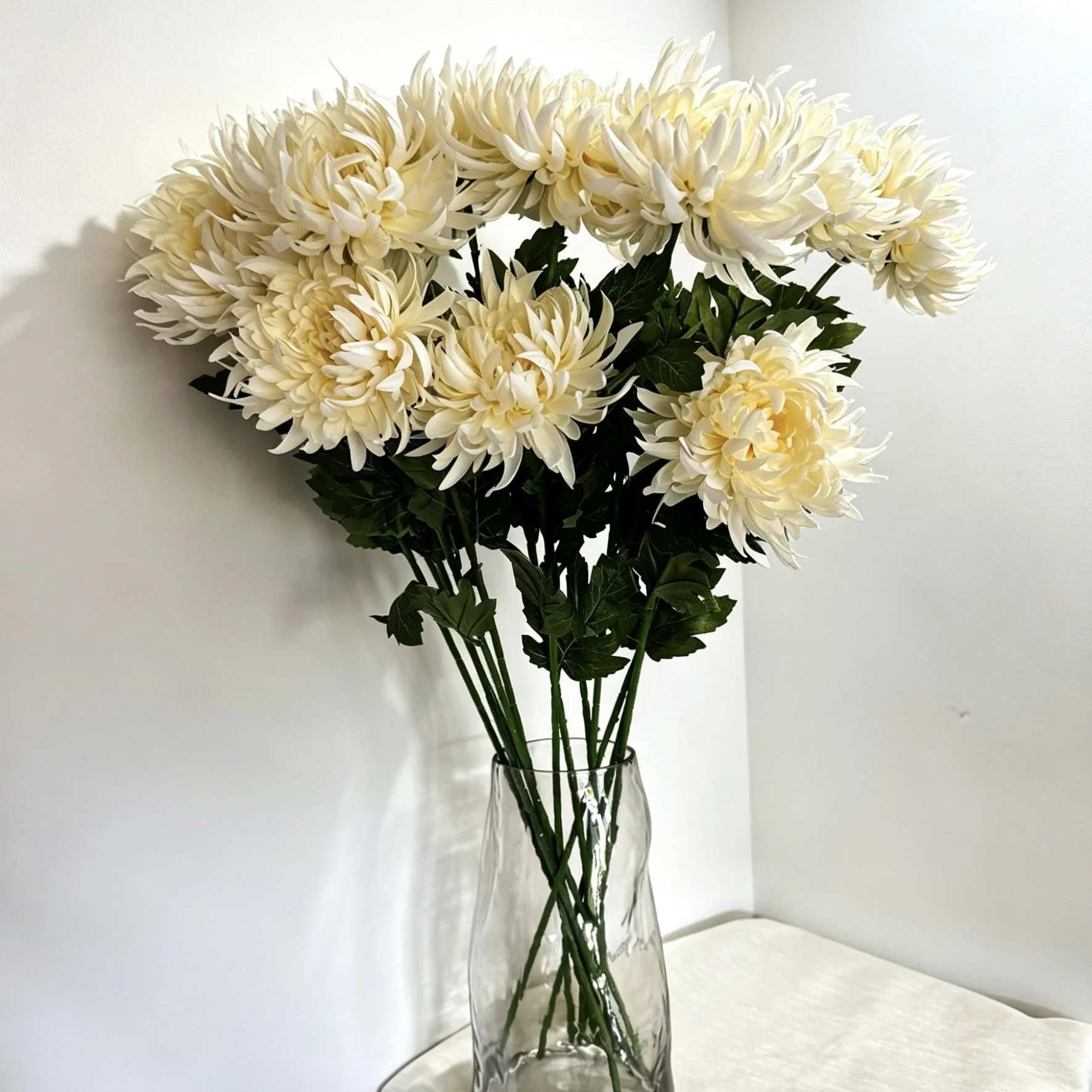image00001.jpeg