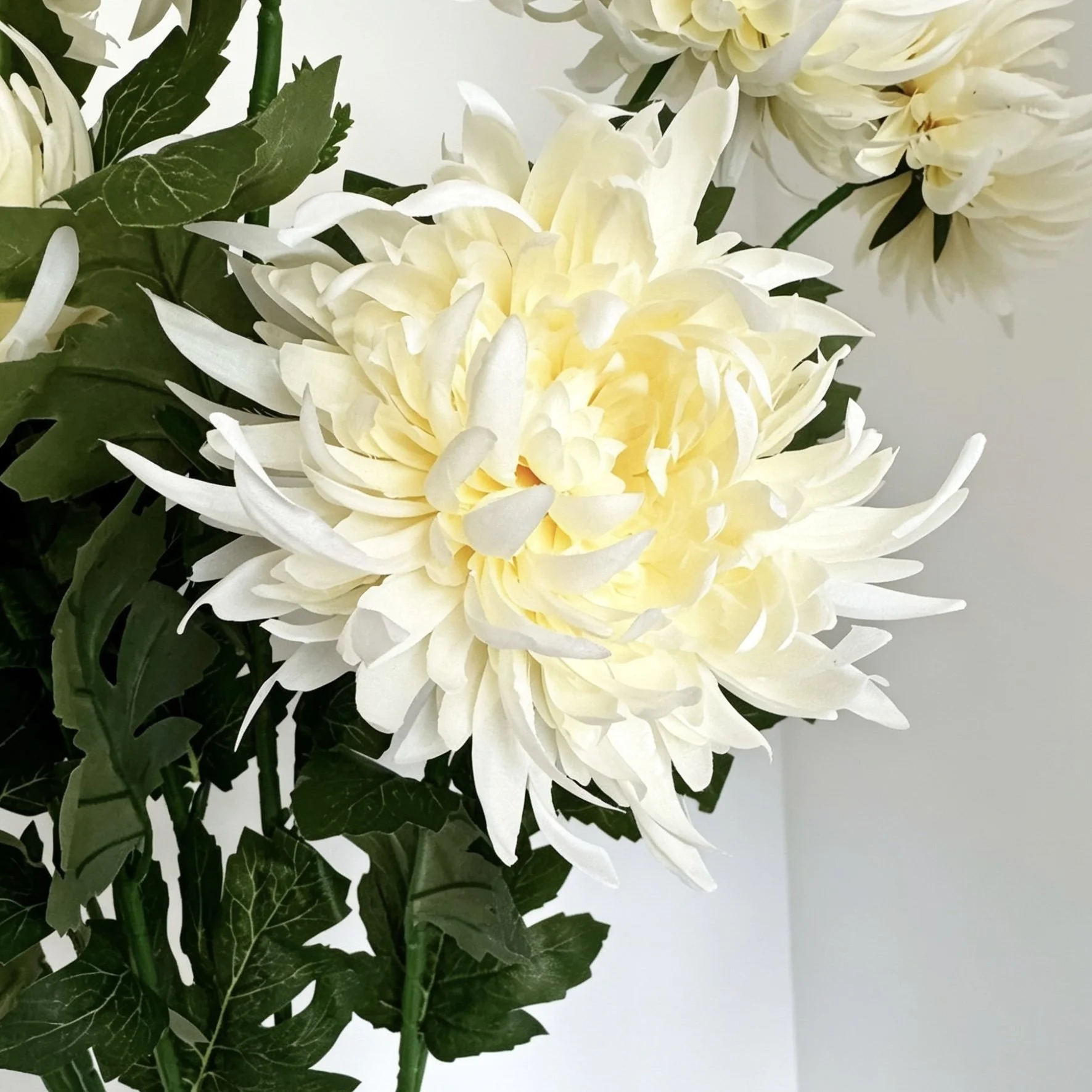 image00003.jpeg