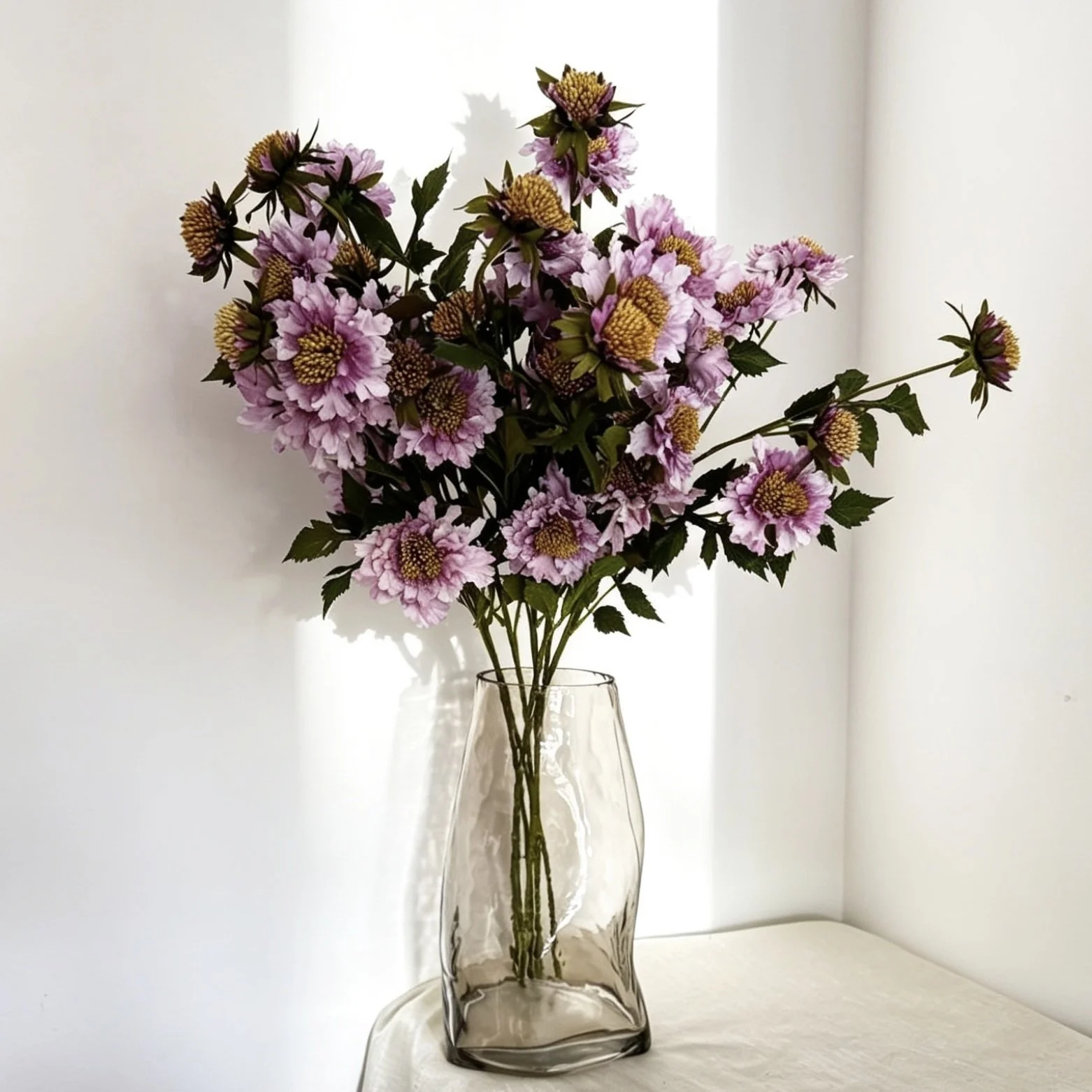 Purple Ruffled Scabiosa